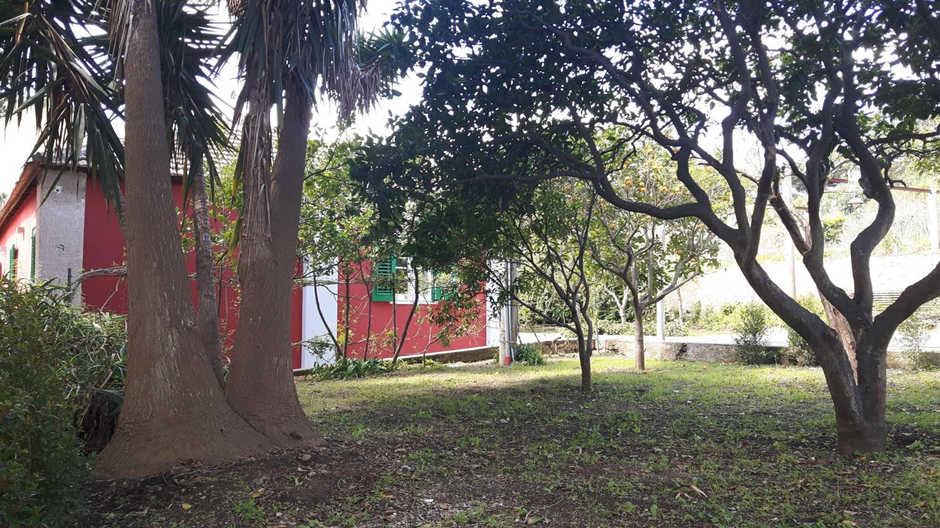 Jardin Labruto, Photo 7