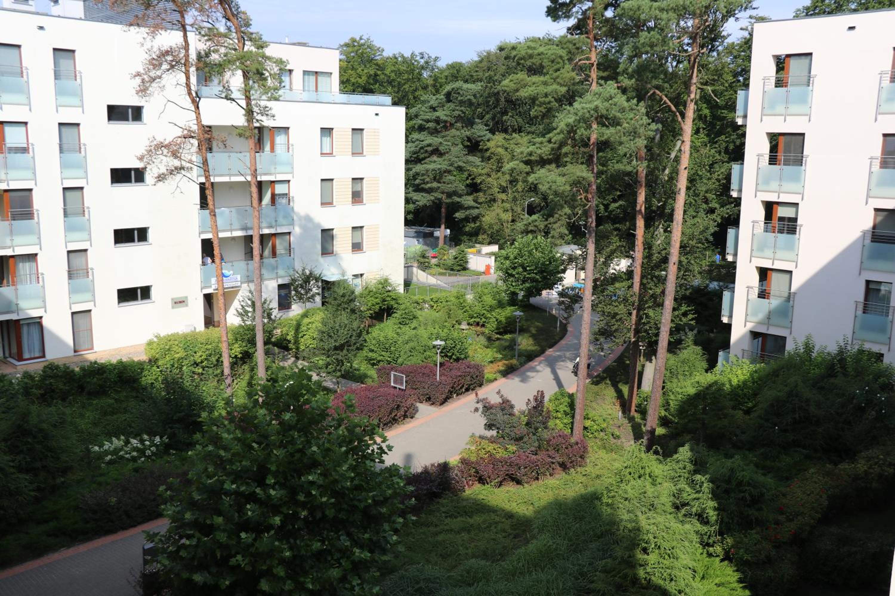 Apartment with Terrace photo 2