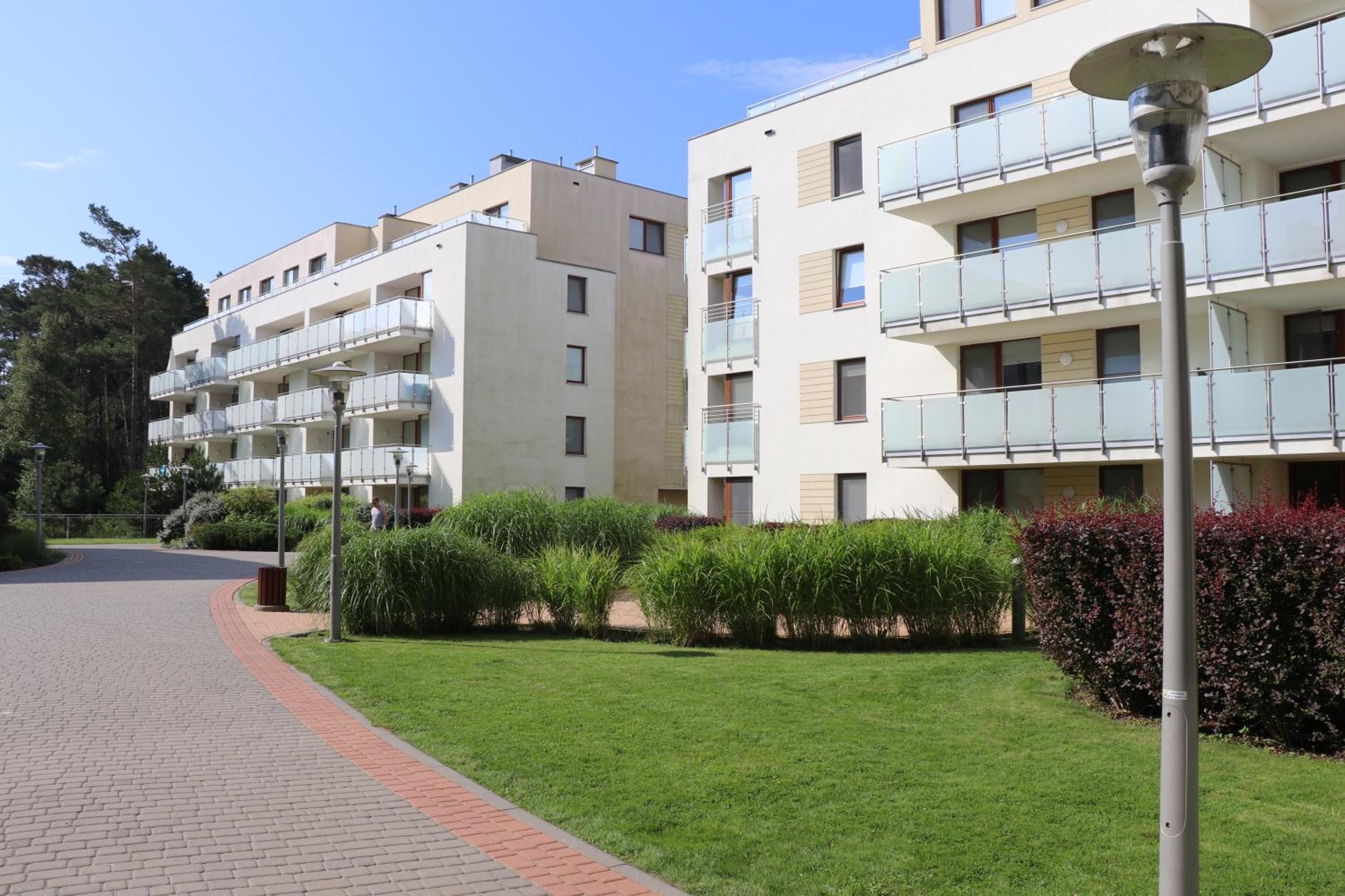 Apartment with Terrace photo 3