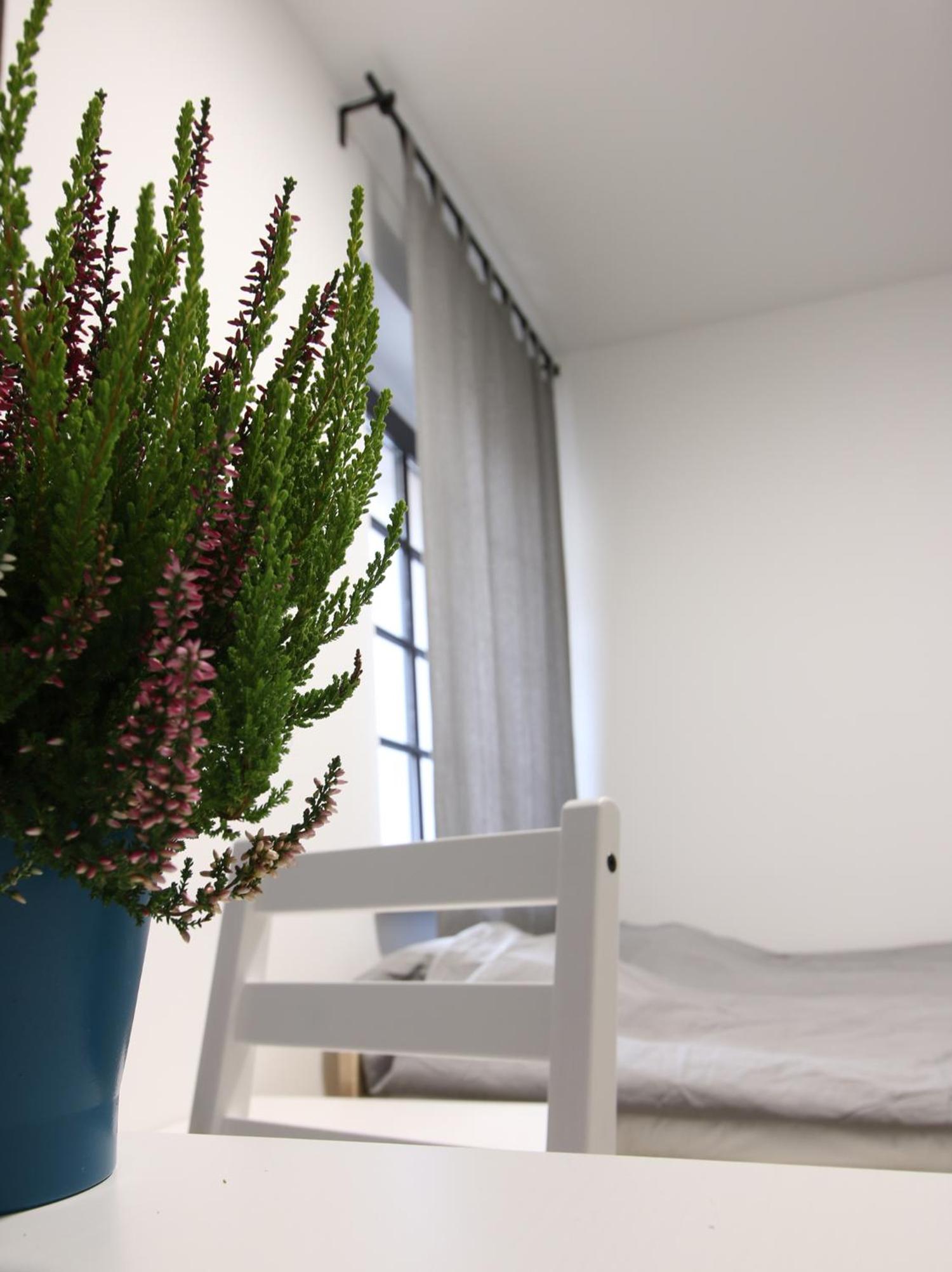 Twin Room - Photo 12