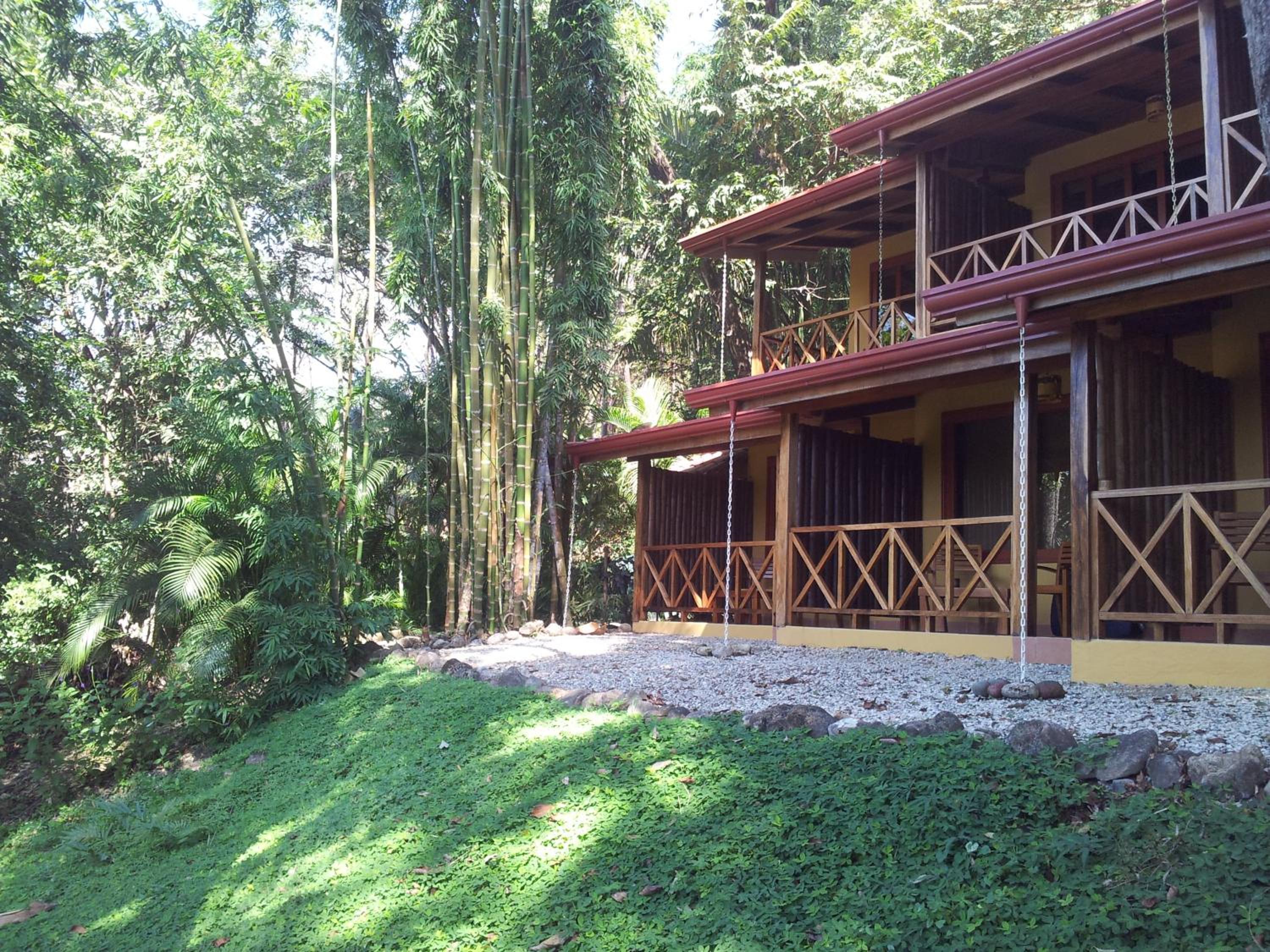 Superior Double or Twin Room with Pool View