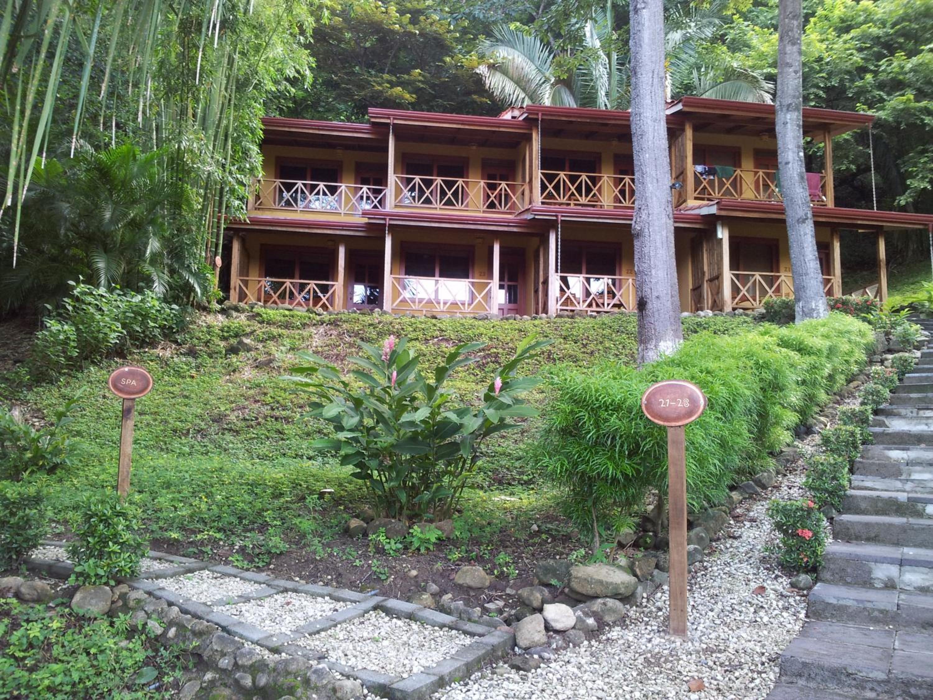 Superior Double or Twin Room with Pool View photo 3