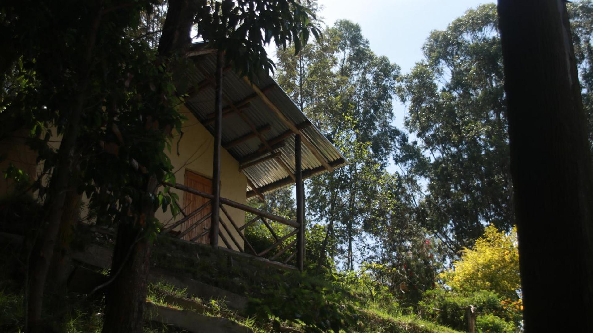 Twin Room with Lake View photo 3