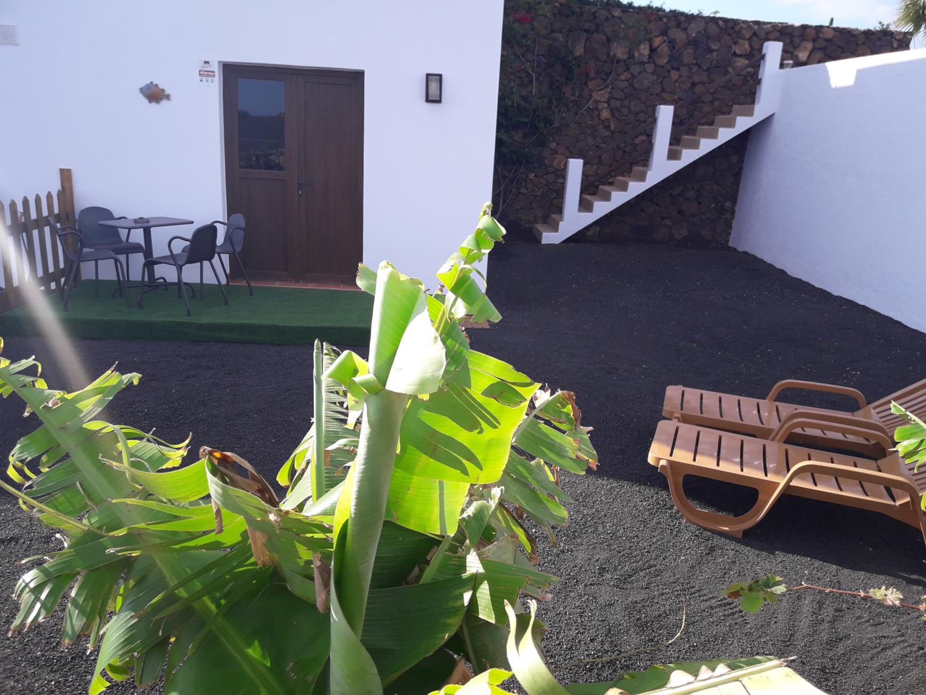 Apartment with Terrace photo 3