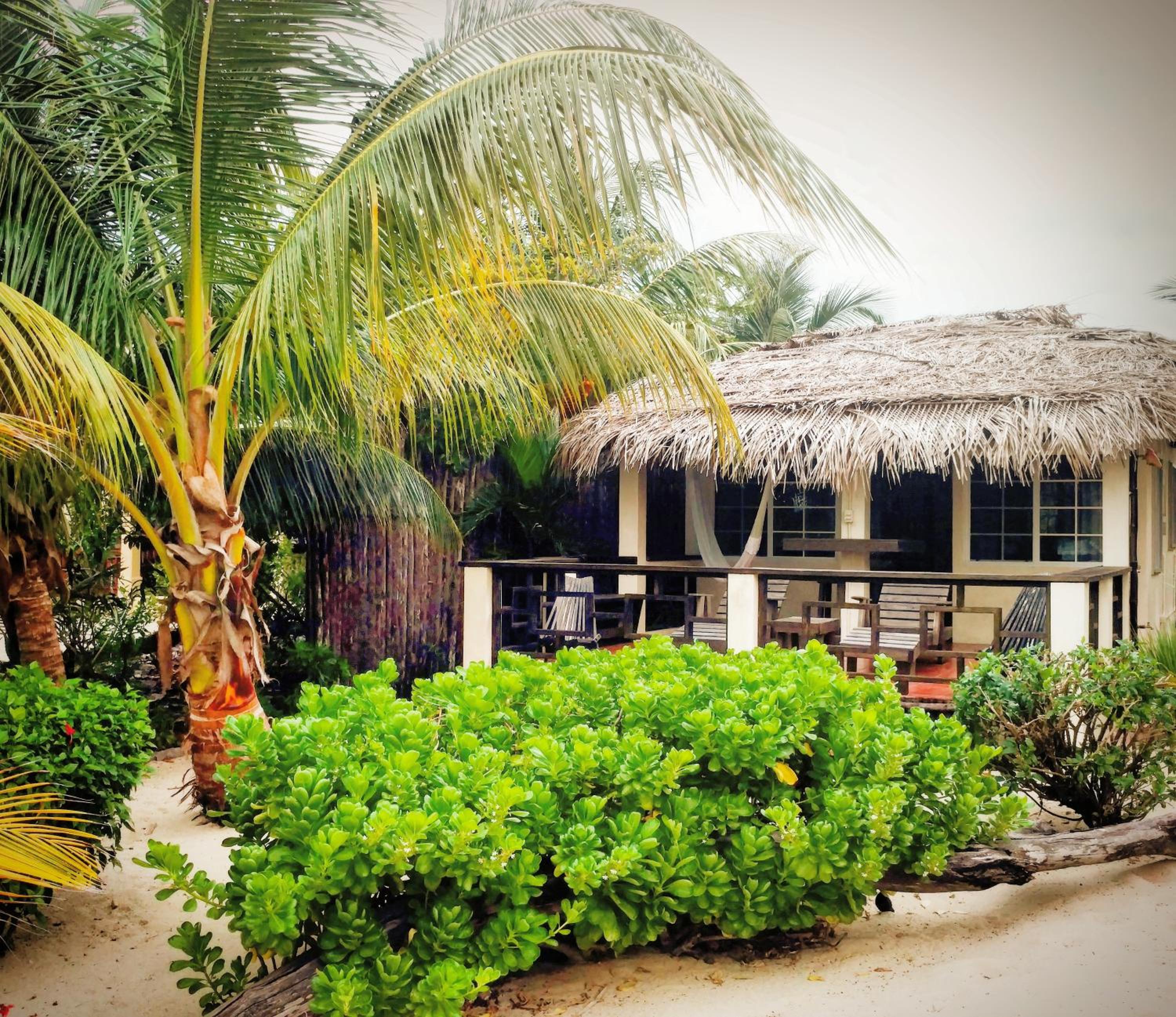 Villa with Sea View photo 3