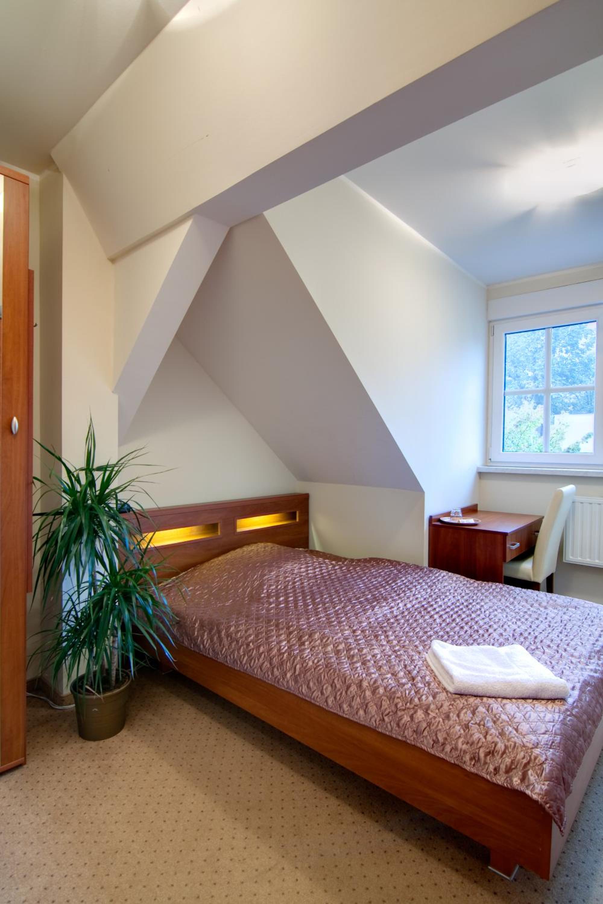 Single Room photo 1