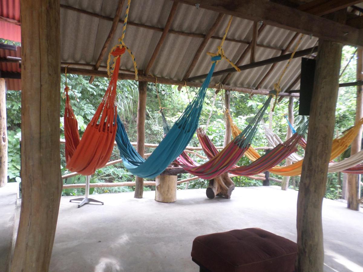 Hammock in Dormitory Room photo 2