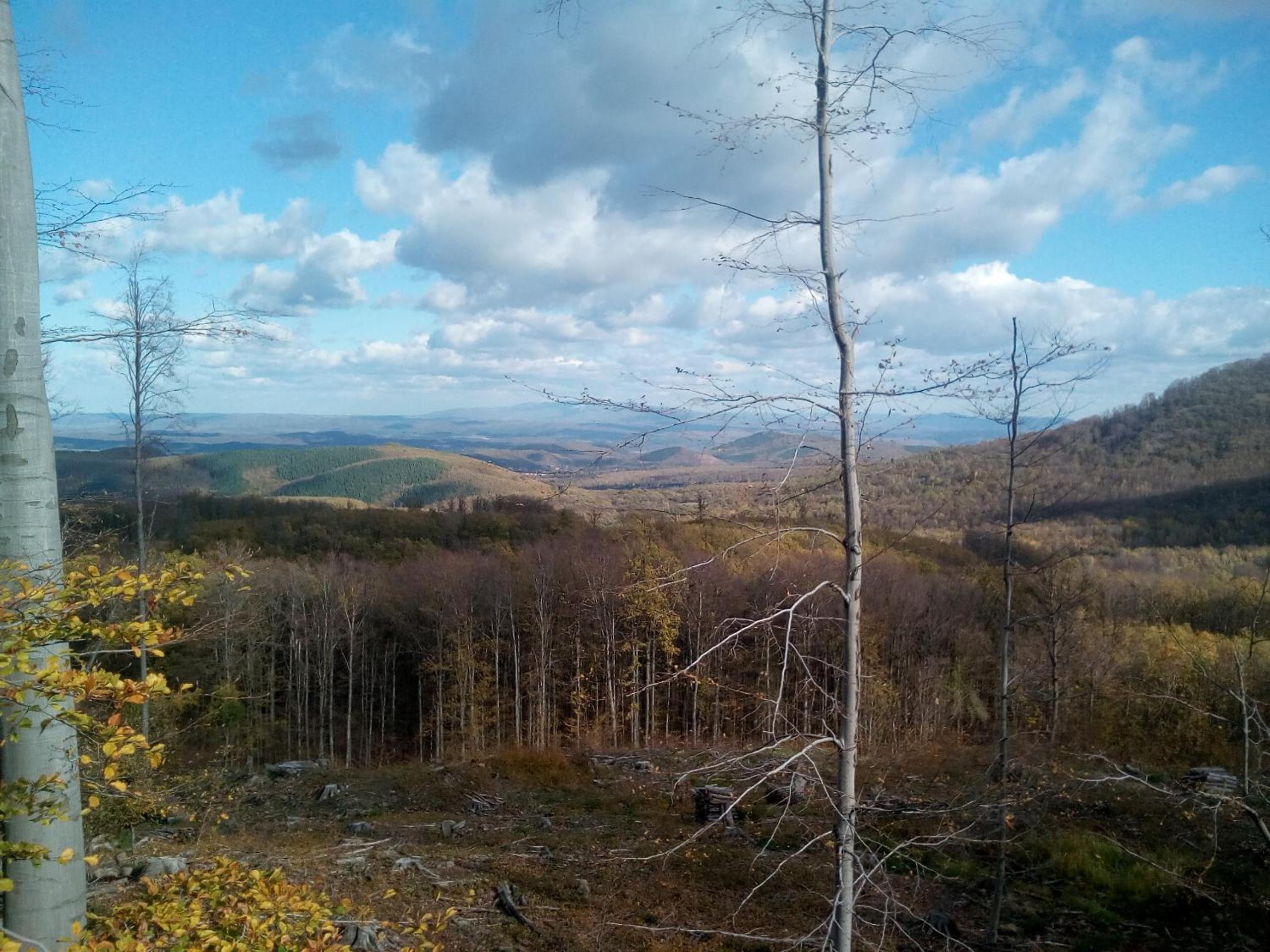 Apartment with Mountain View - Photo 24