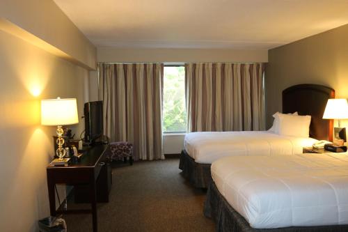 Superior Double Room with Two Double Beds photo 2