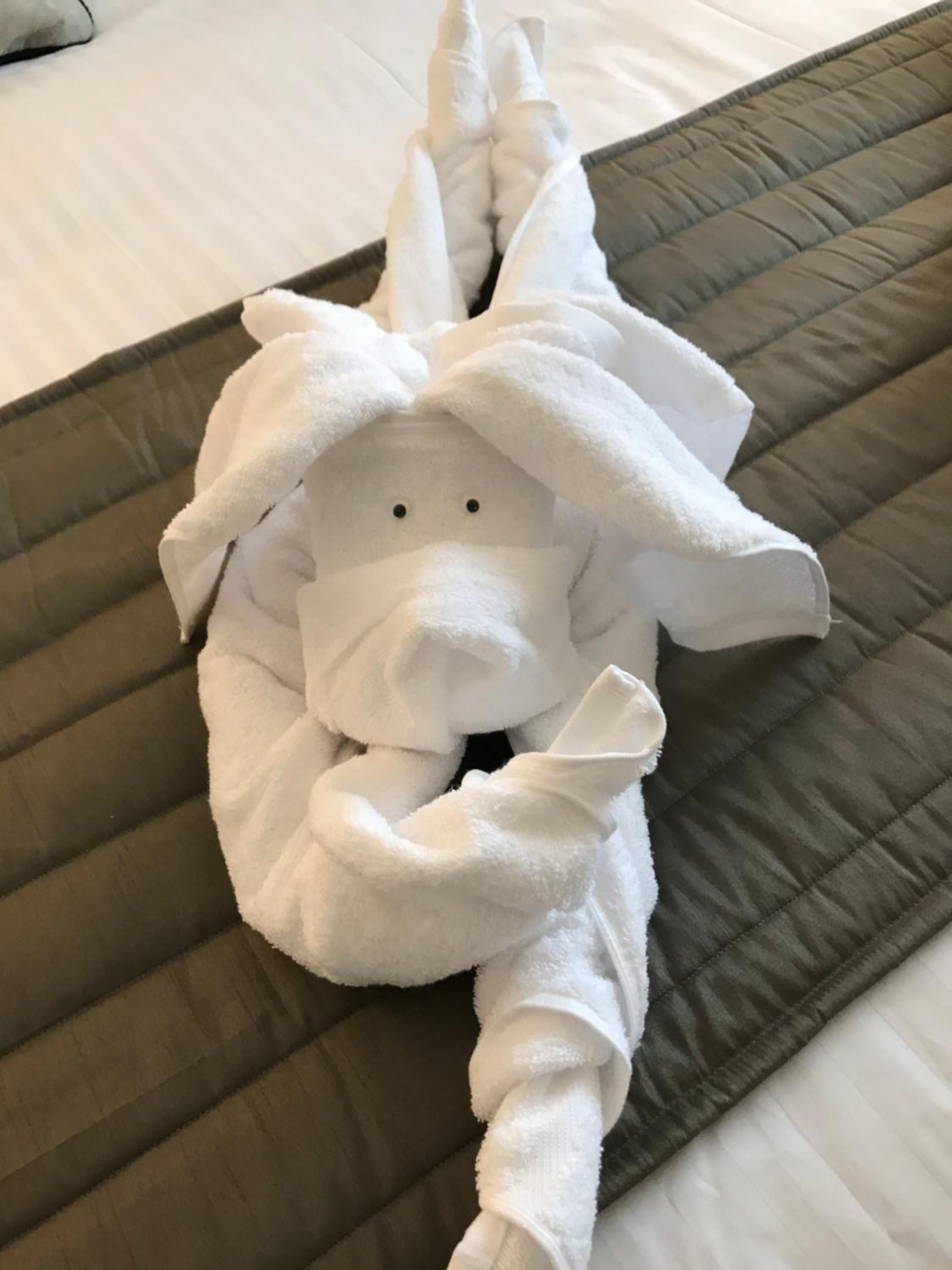Deluxe Twin Room photo 2