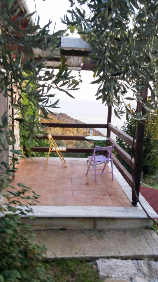 Holiday Home photo 1
