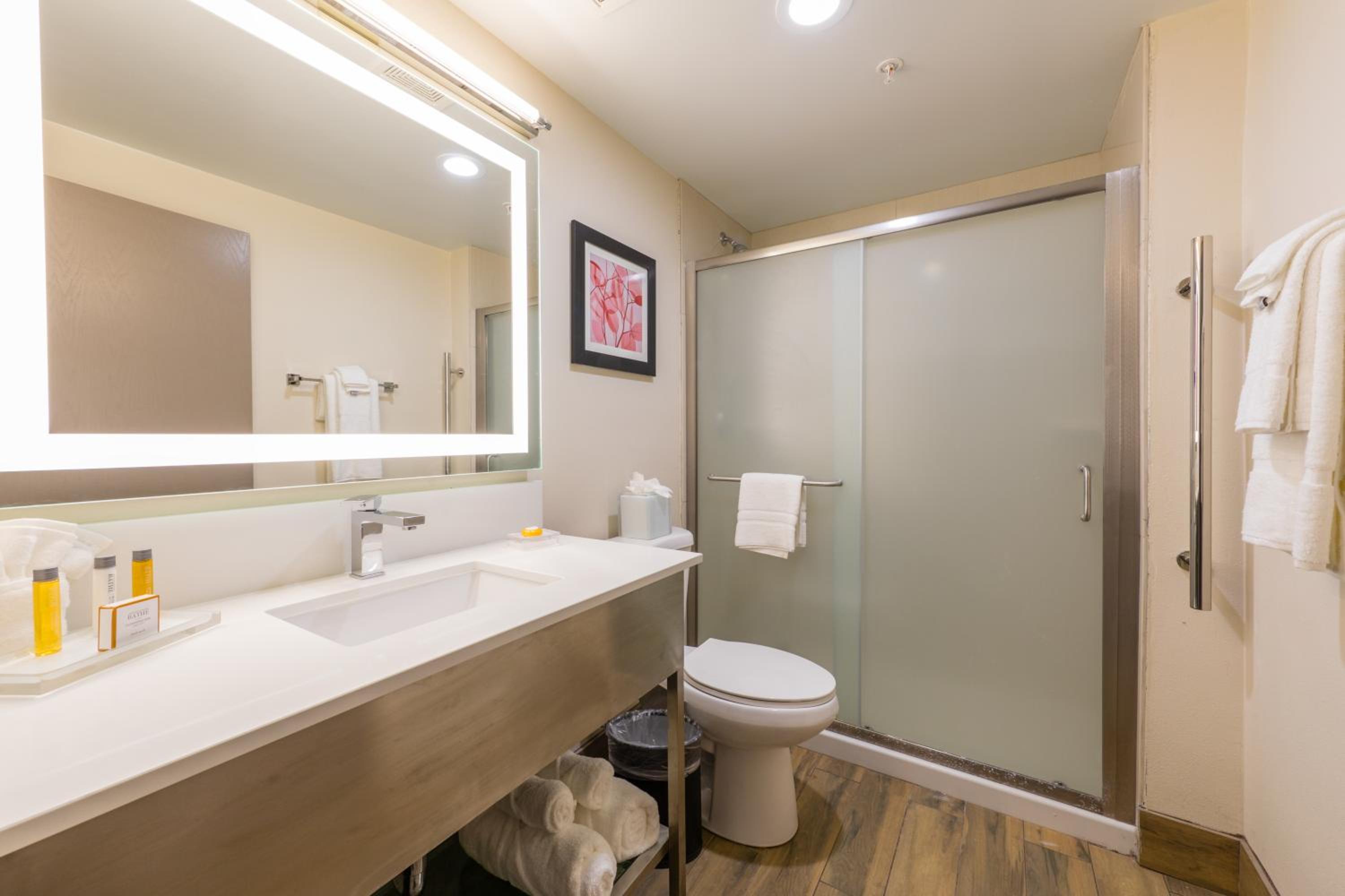 One-Bedroom King Suite with Sofa Bed photo 3