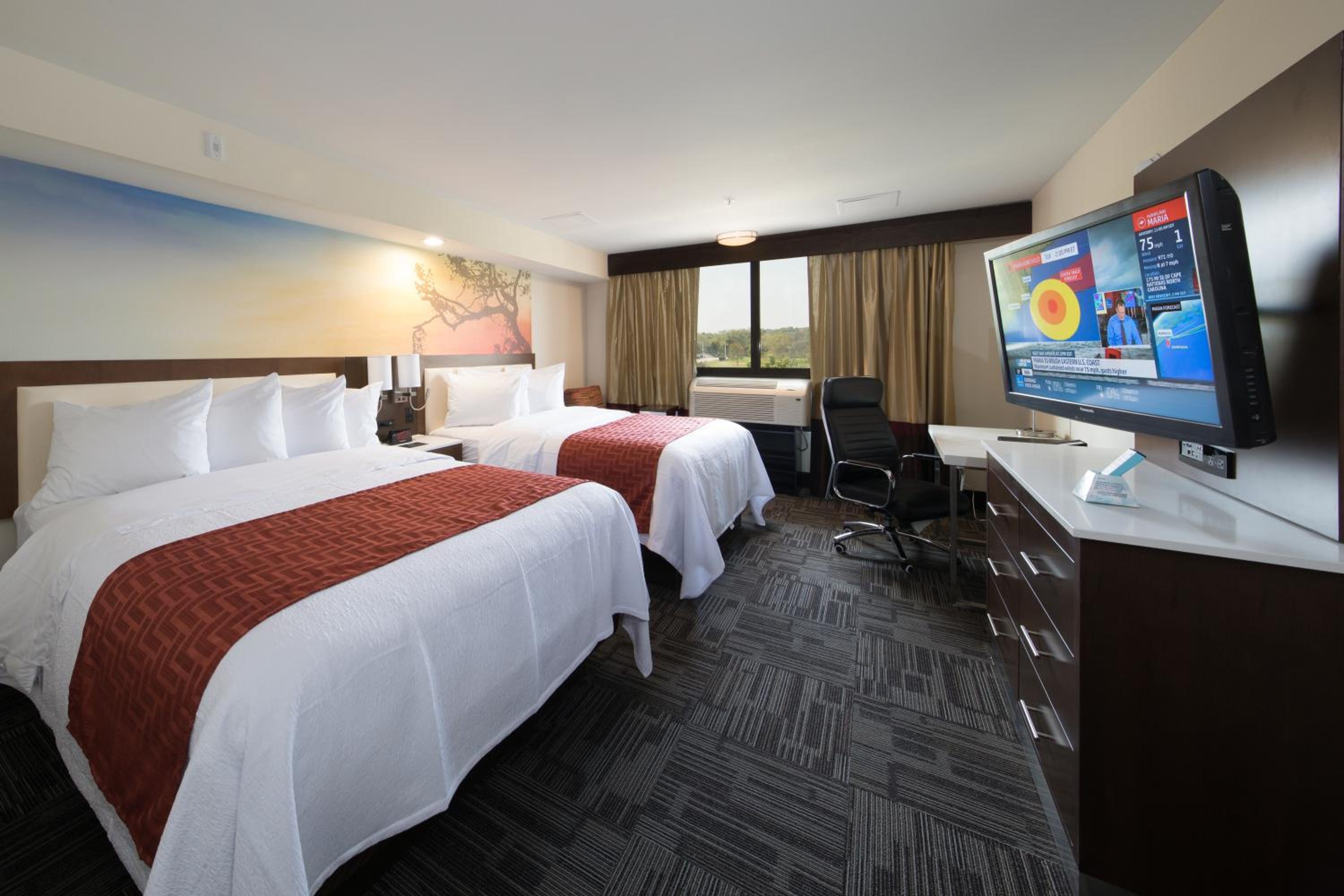 Queen Room with Two Queen Beds - Pool Side