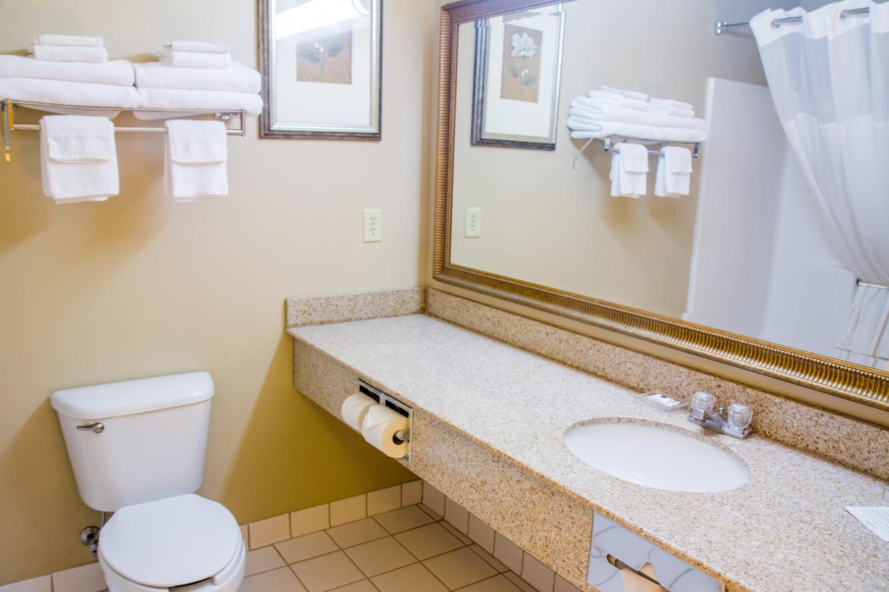 One-Bedroom King Suite - Photo 4