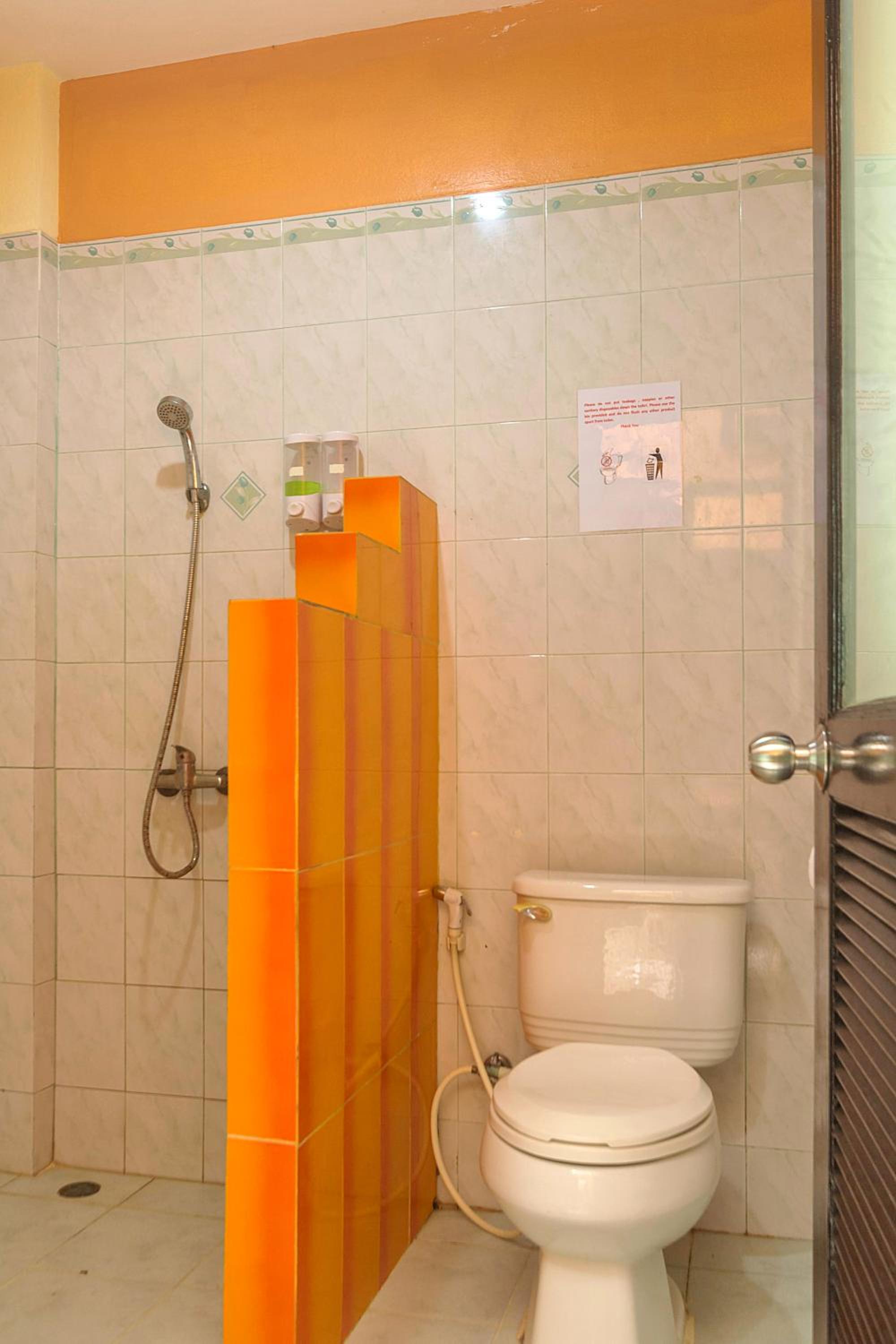 Deluxe Double or Twin Room photo 3