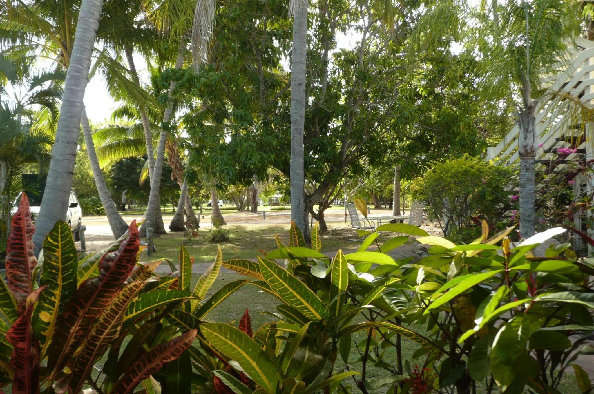 One-Bedroom Apartment with Garden View photo 2