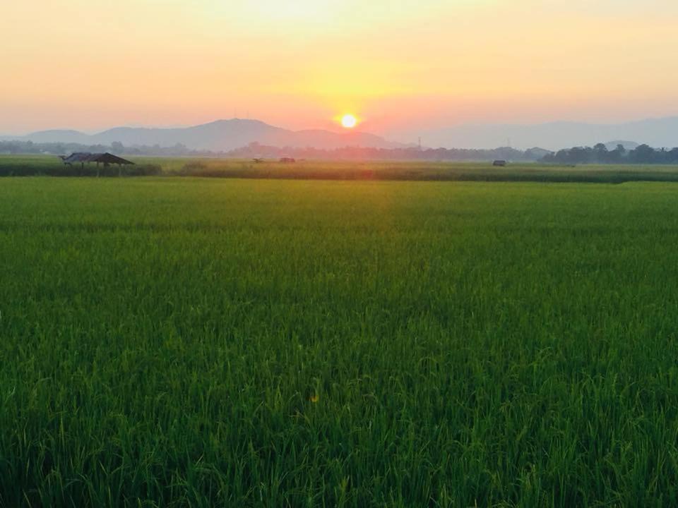 Double Room with Mountain View photo 3