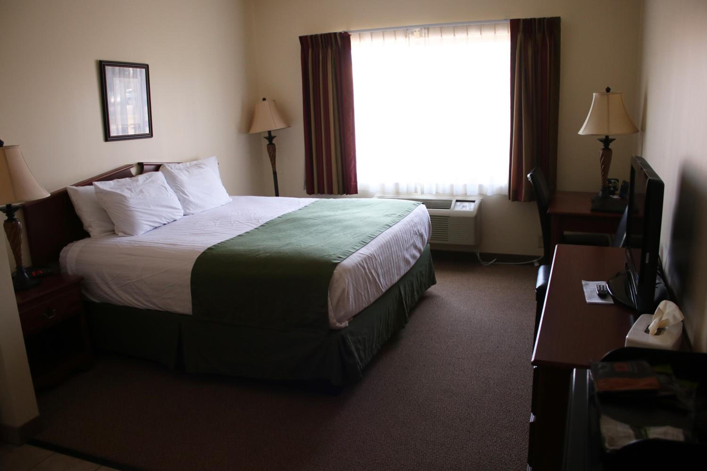 Single Room - Disability Access photo 1