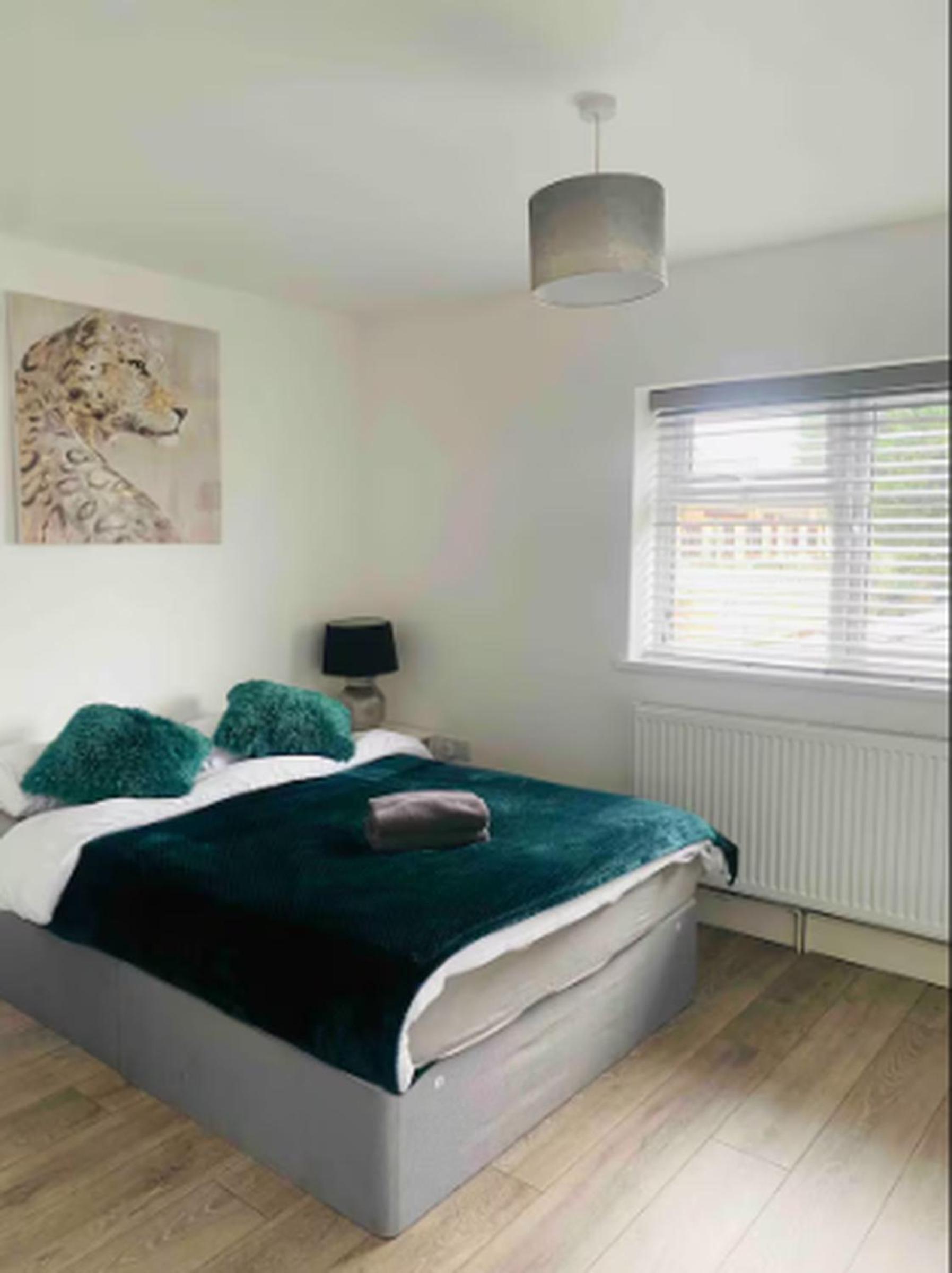 Single Room photo 3