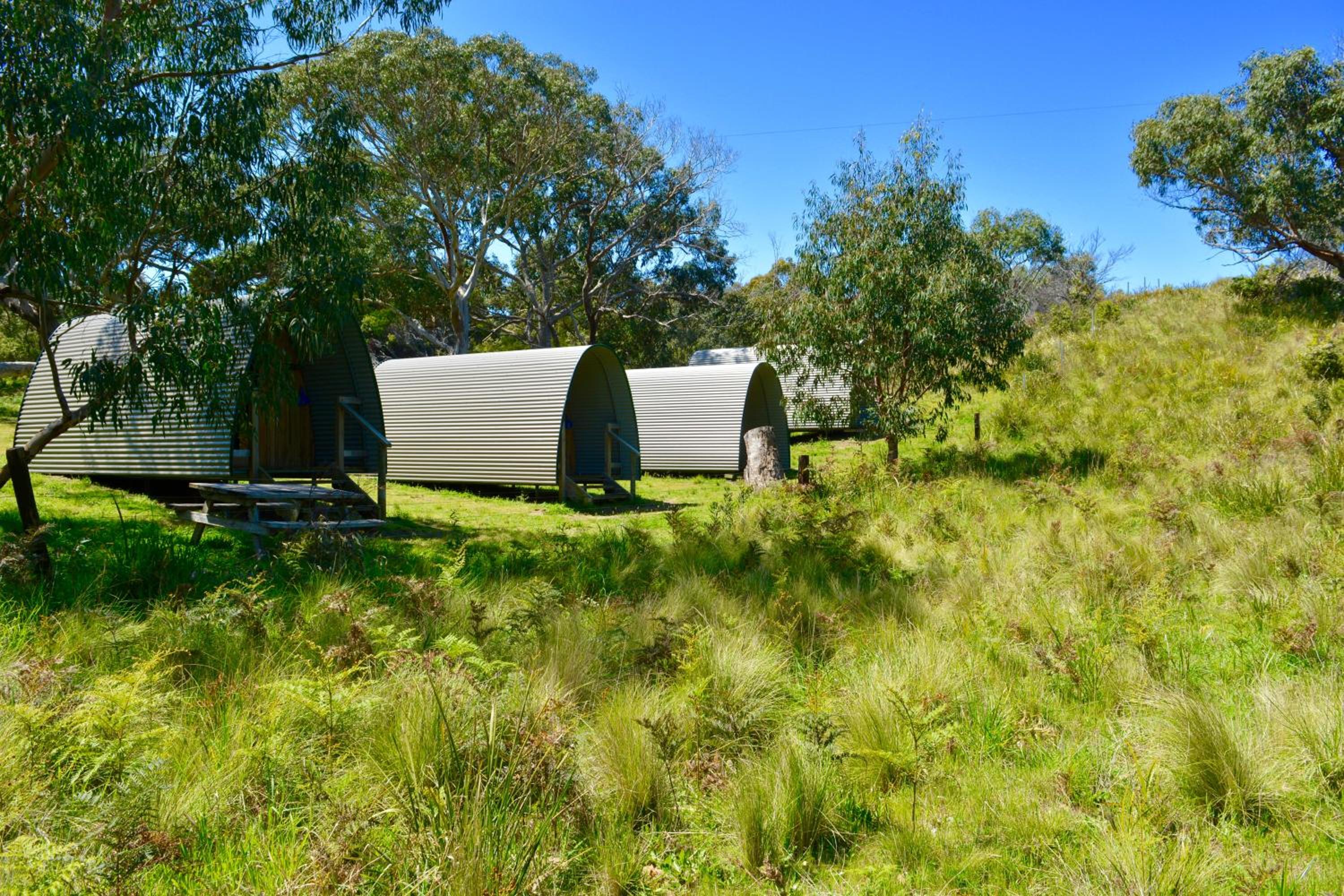 Camping Pod with Shared Bathroom (No linen or electricity supplied) photo 3