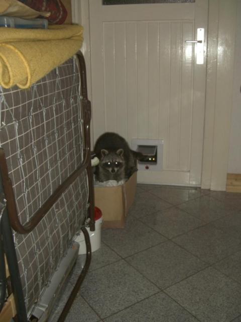 One-Bedroom Apartment (2 - 4 Adults) - Photo 77
