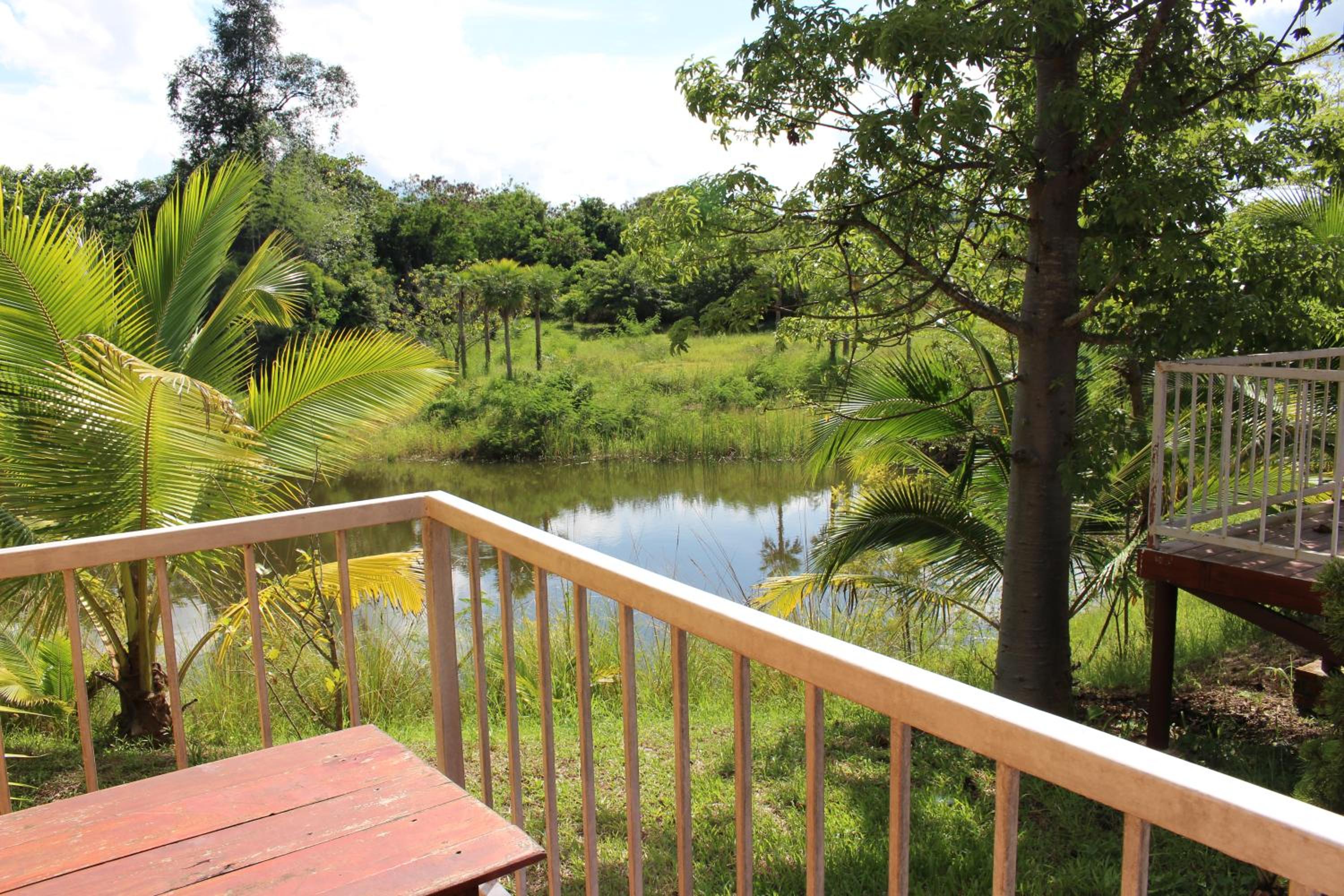 Twin Room with Balcony photo 2