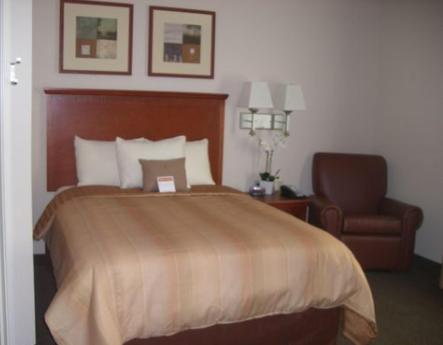 Studio Queen Suite - Photo 1