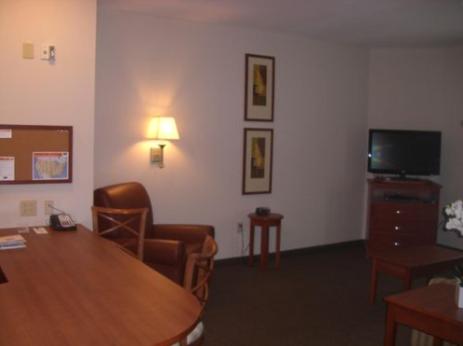 Studio Suite - Photo 7