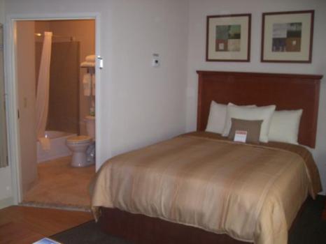 Studio Suite - Photo 2