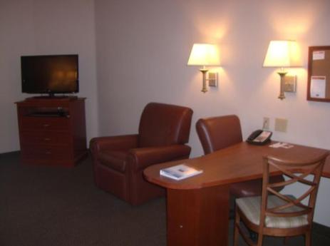 Studio Suite - Photo 1