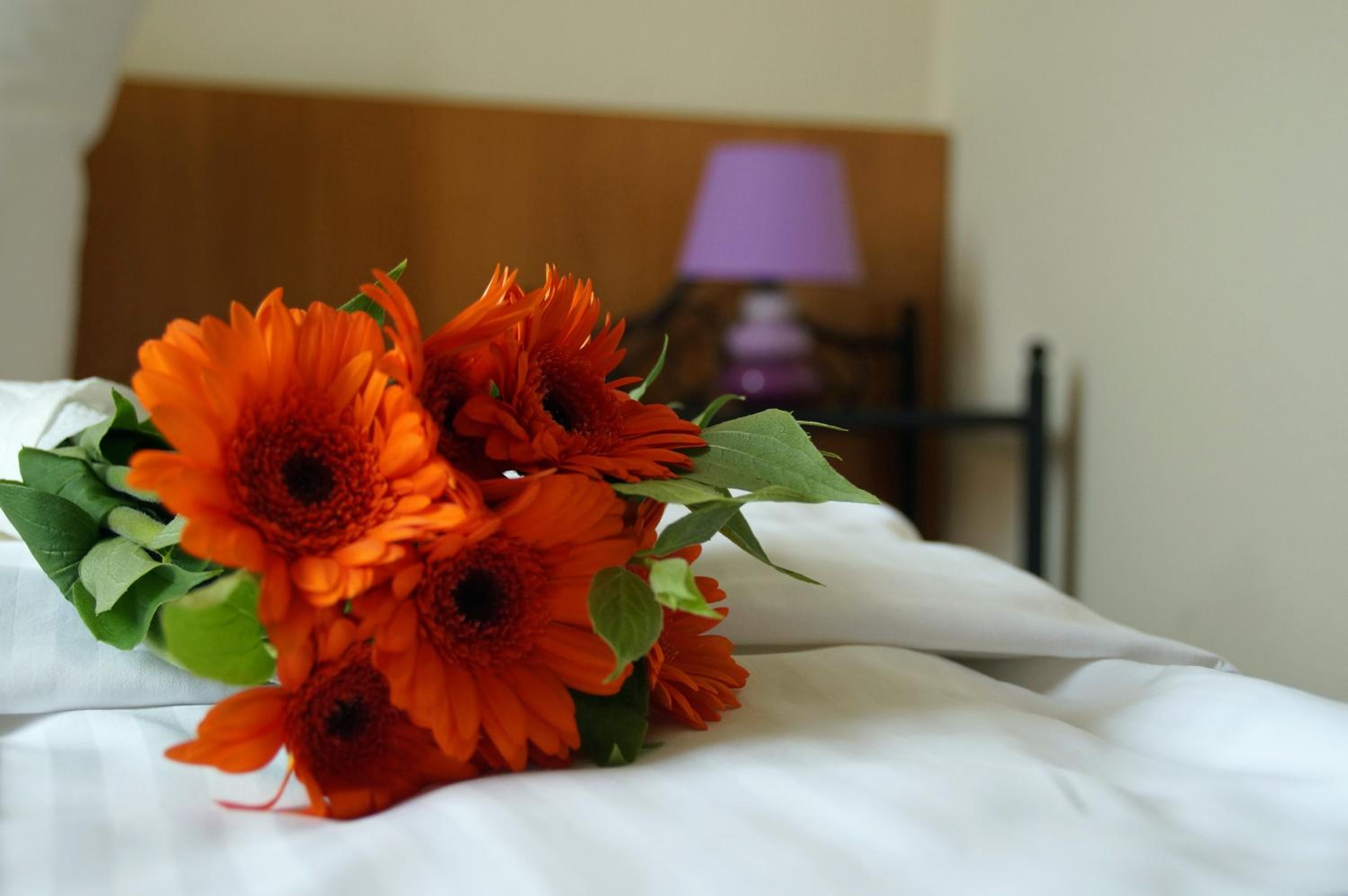 Twin Room - Photo 4