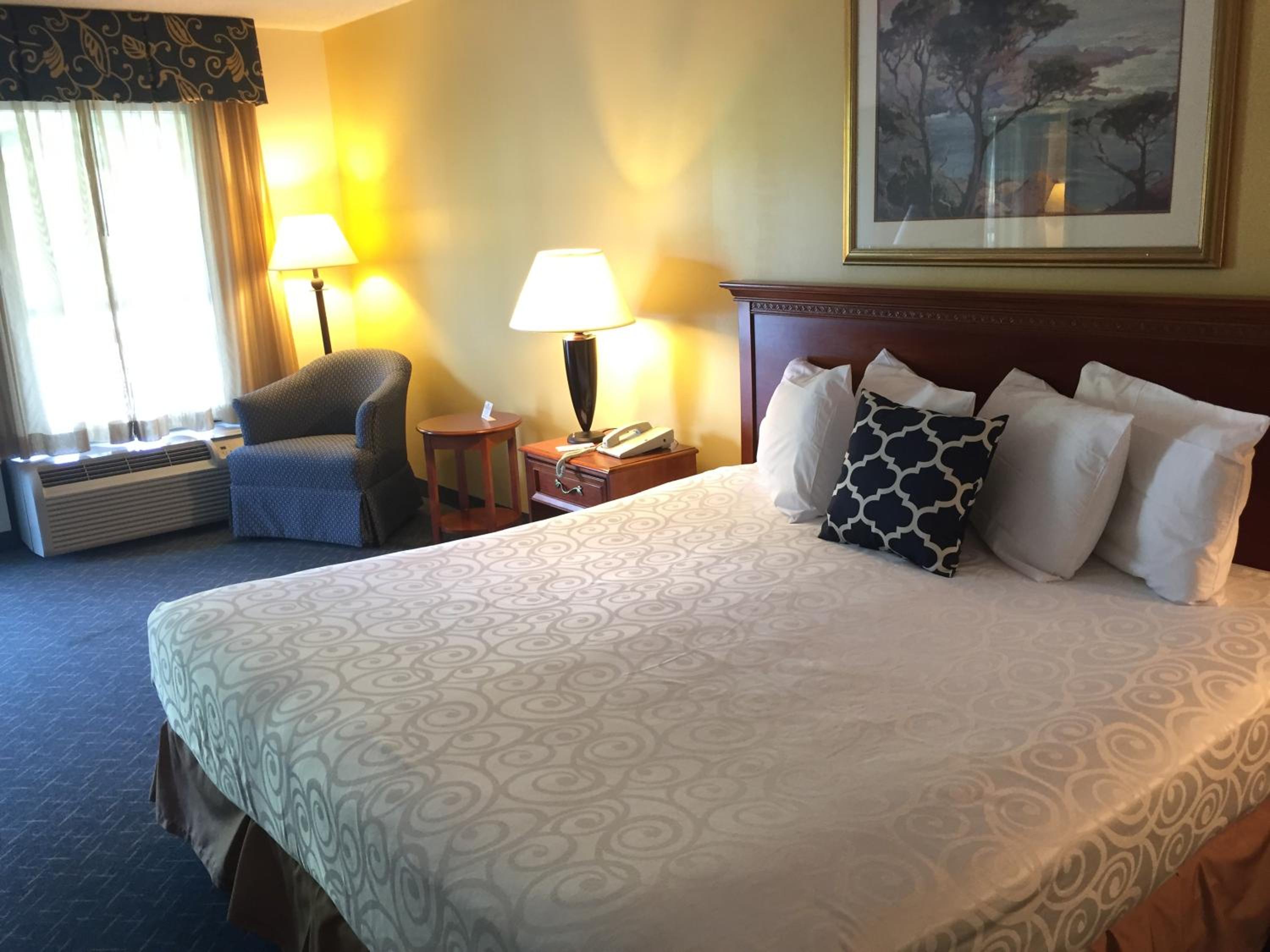 King Room - Non-Smoking - Photo 4