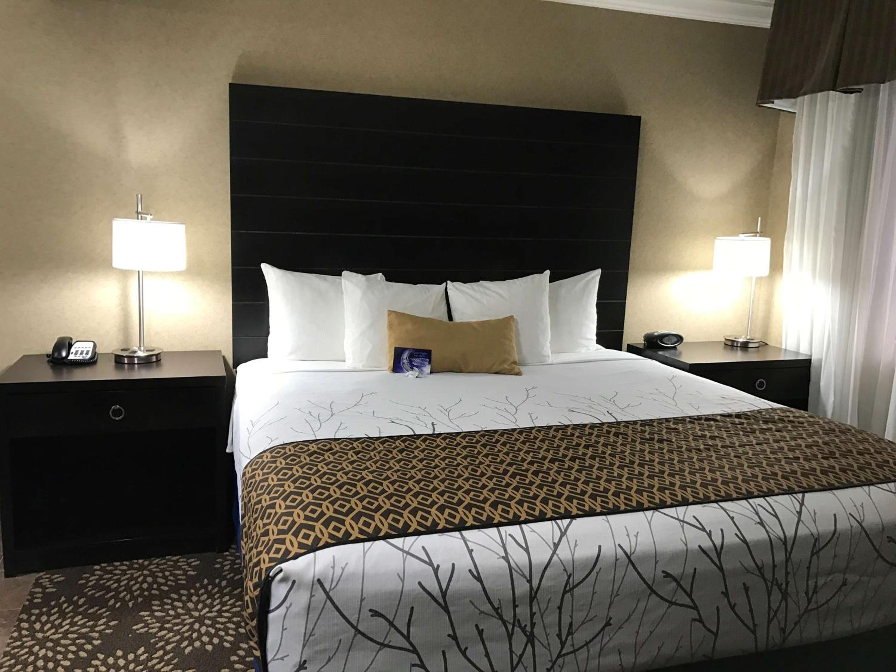 King Room - Non-Smoking - Photo 5