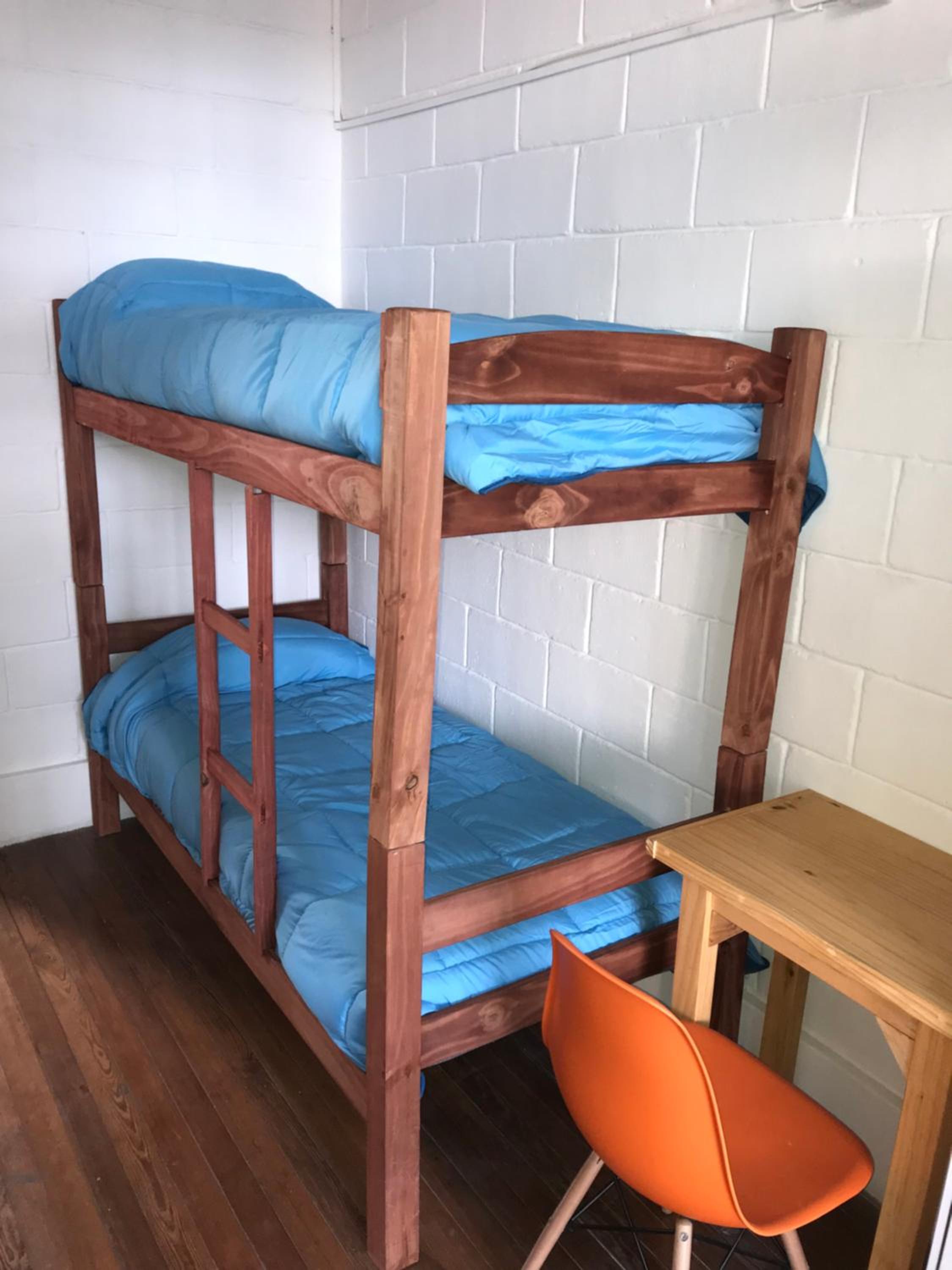 Bunk Bed in Mixed Dormitory Room photo 1