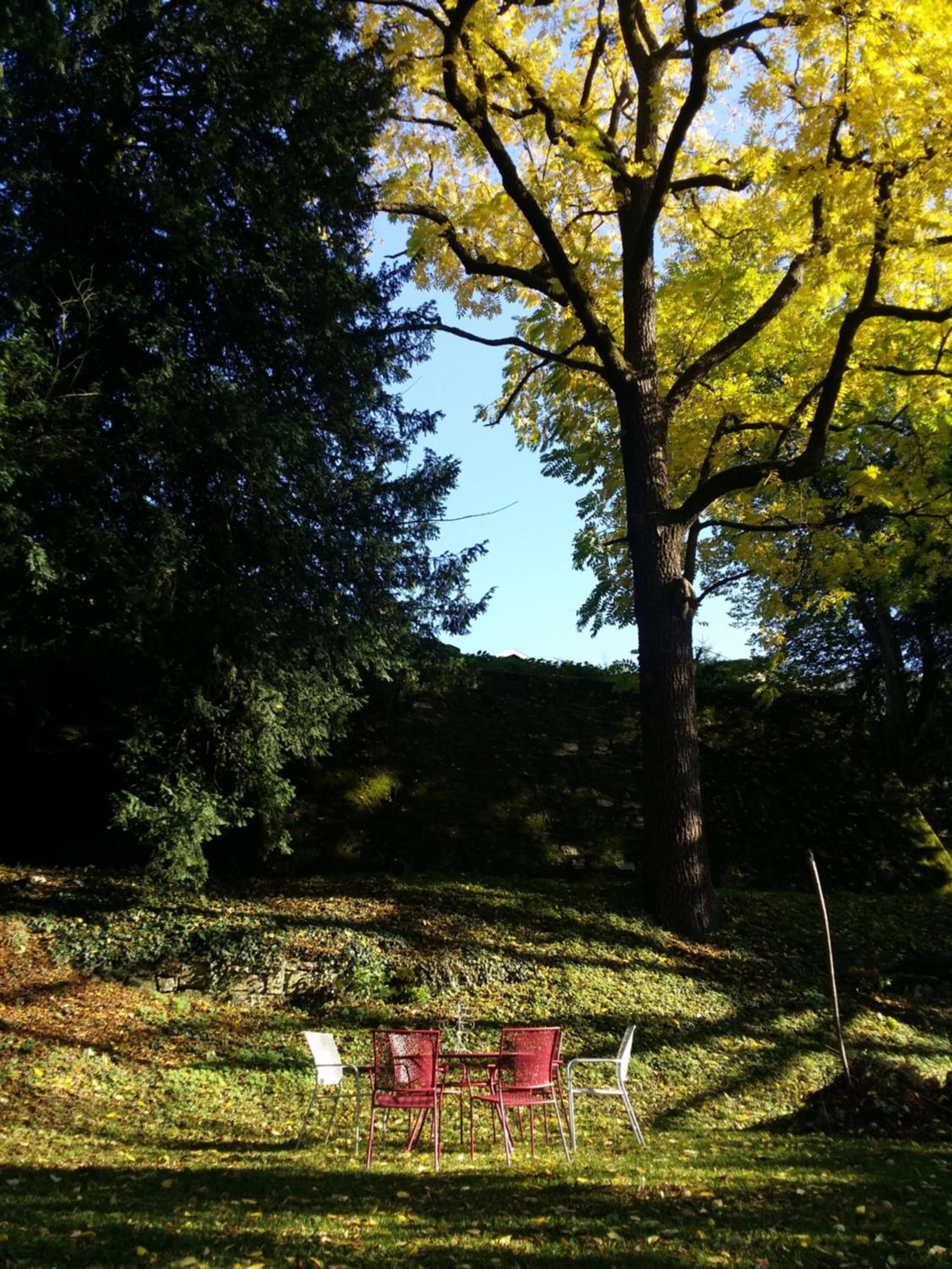 Apartment with Garden View - Photo 17