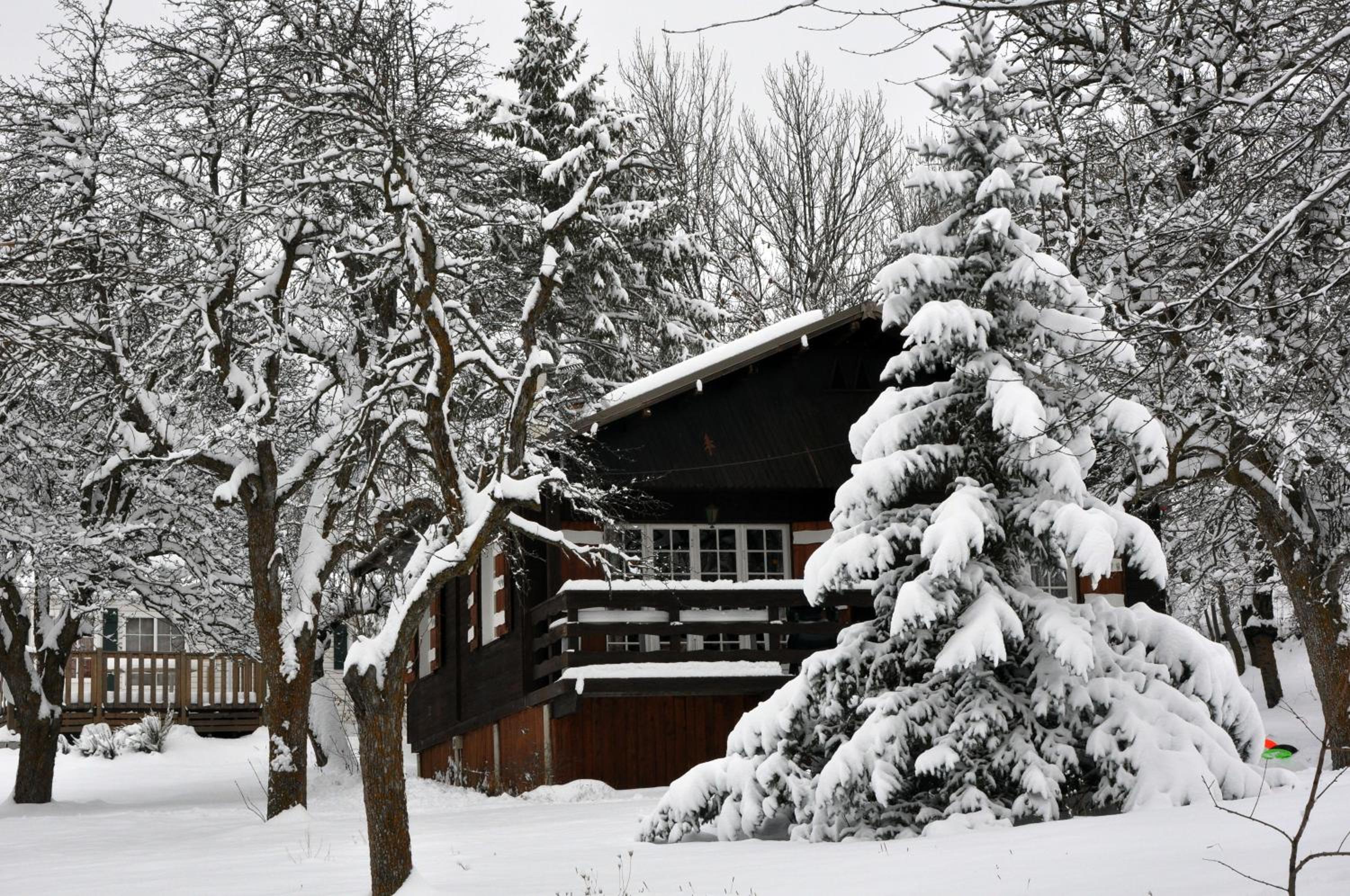 Three-Bedroom Chalet - Photo 13