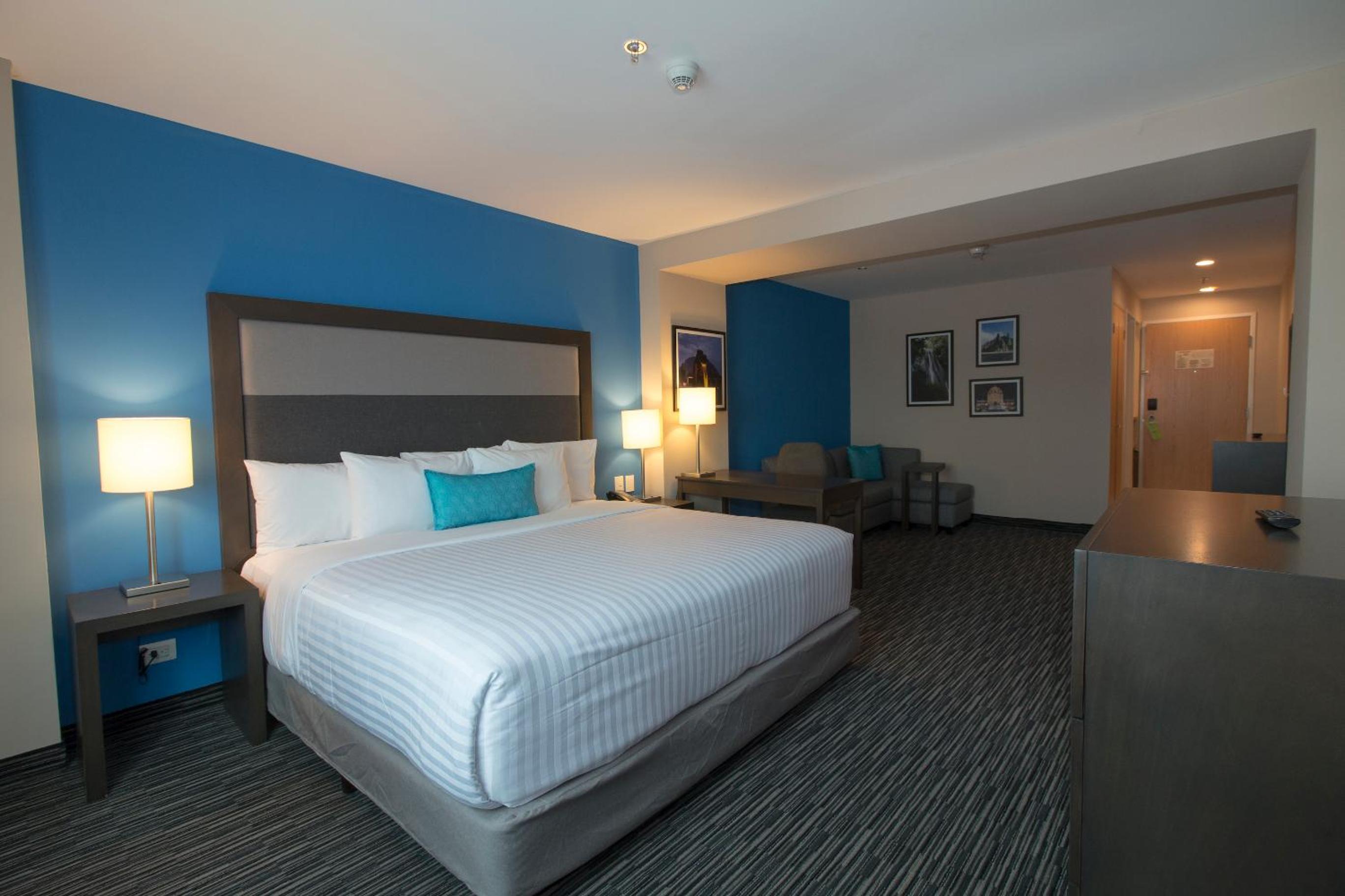 Deluxe Executive King Room - Non-Smoking