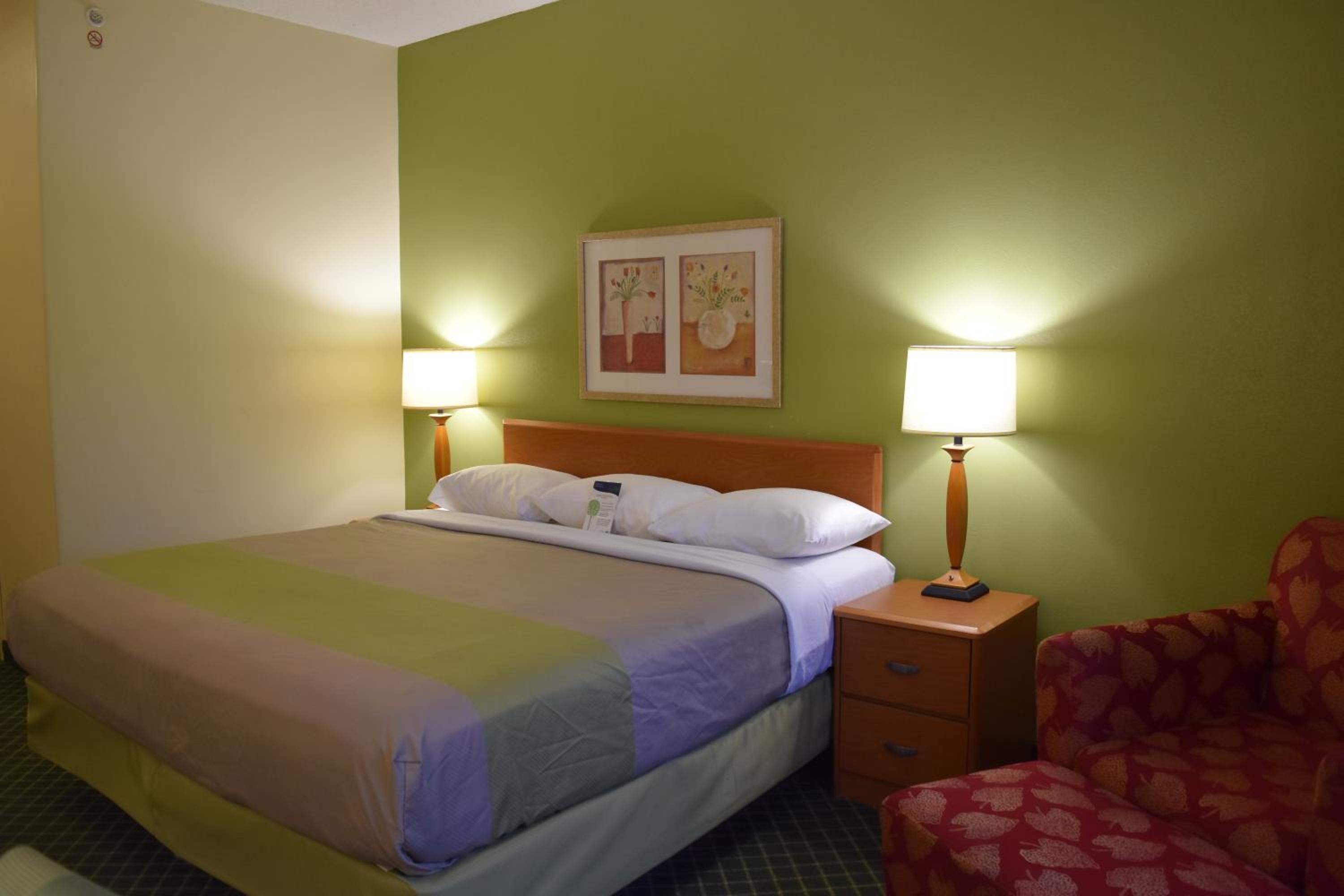 King Room - Non-Smoking - Photo 4