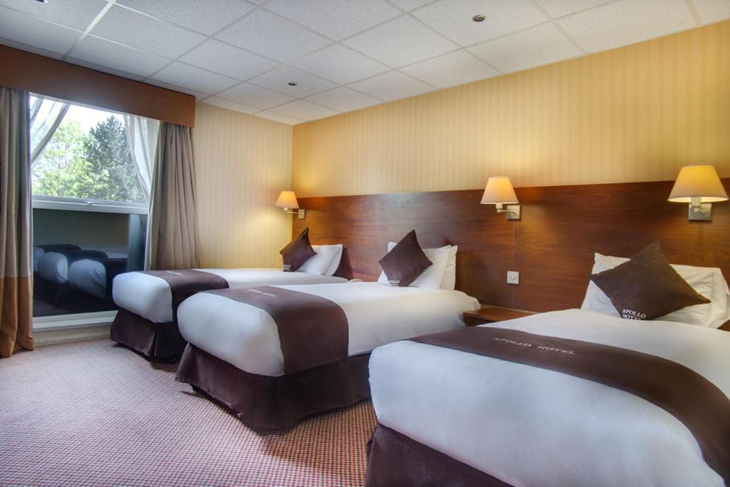 Superior Triple Room - Photo 3