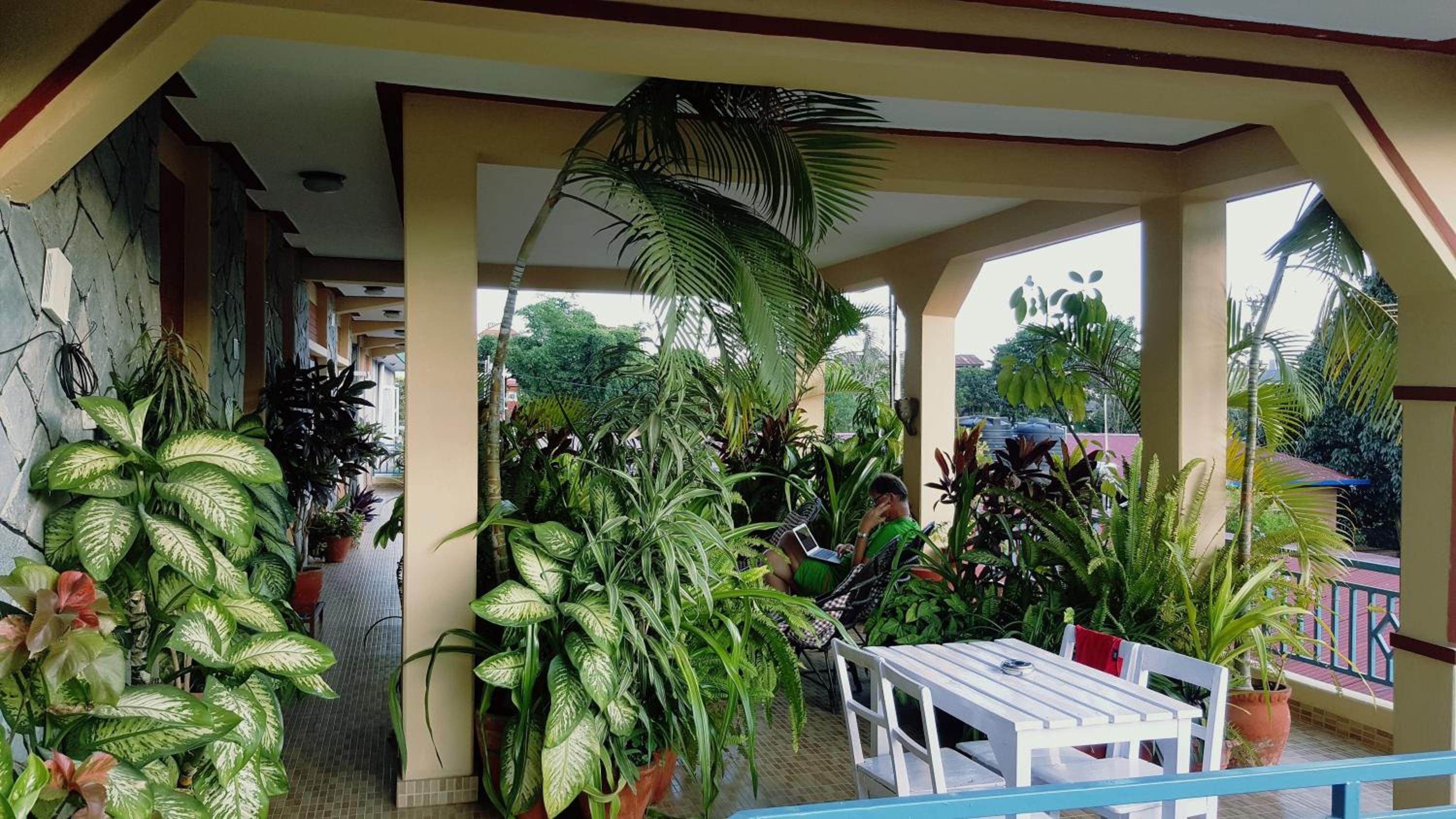Deluxe Double or Twin Room with Mountain View photo 3