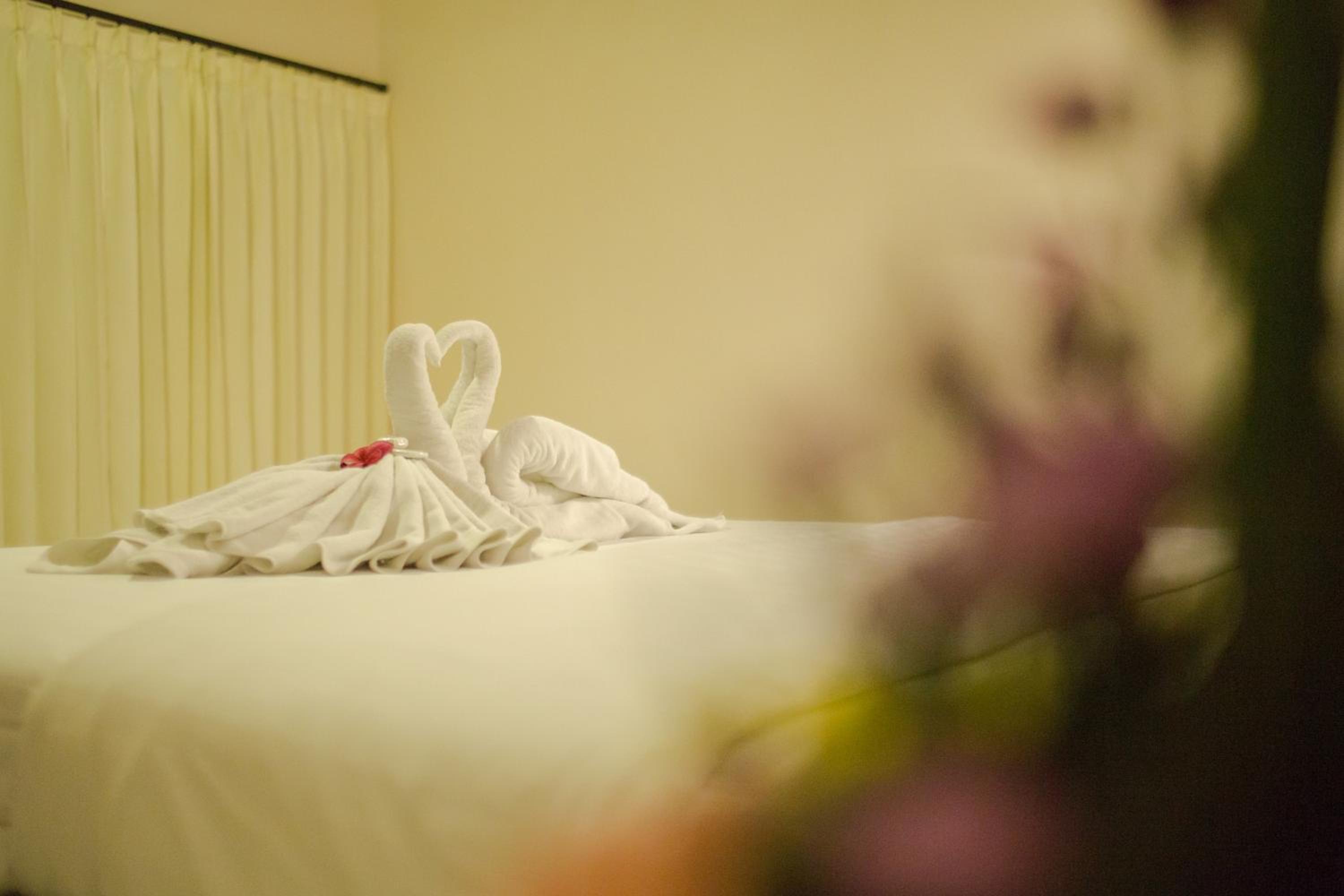 Standard Double Room photo 3