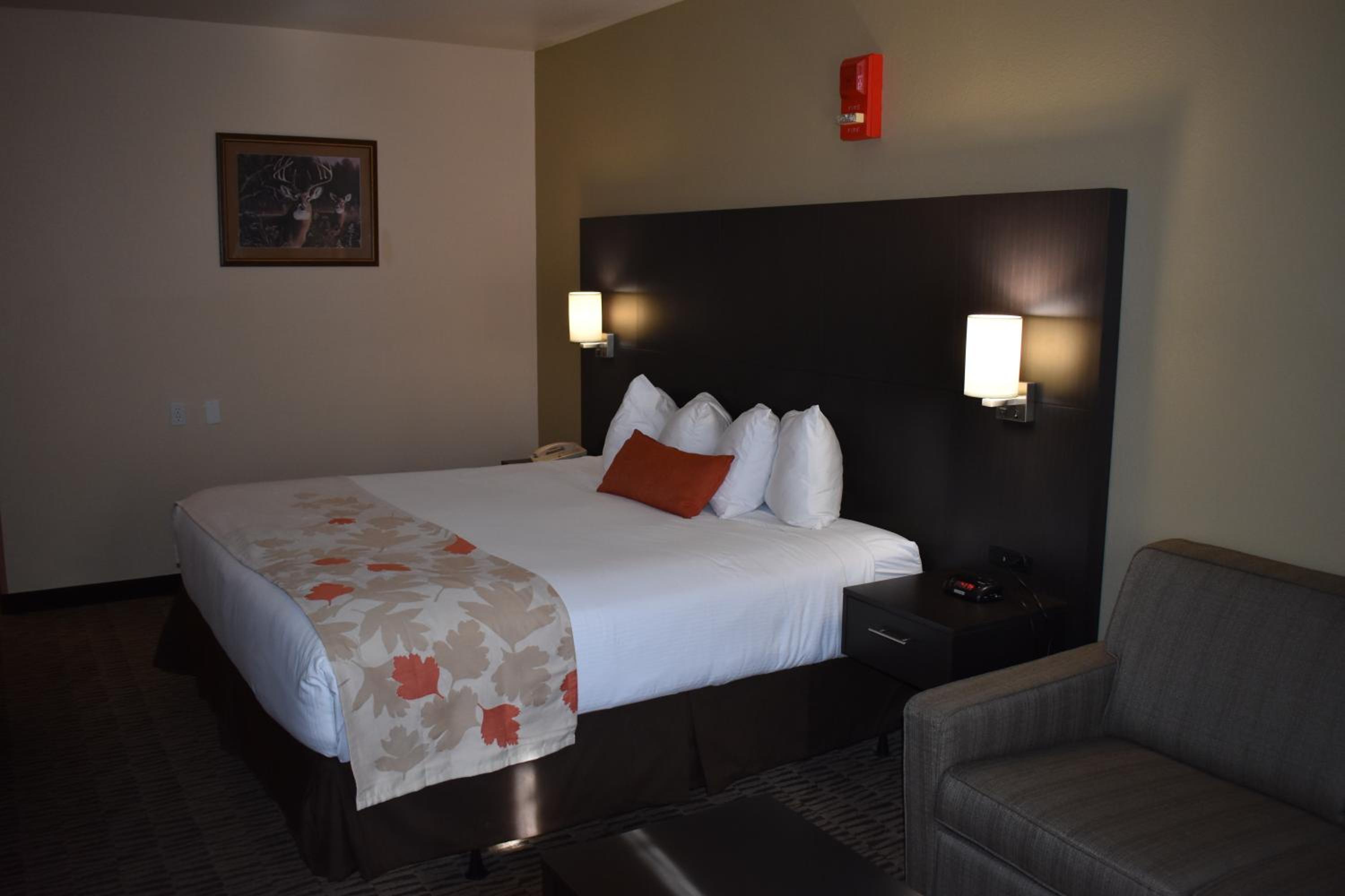 King Room - Non-Smoking - Photo 3
