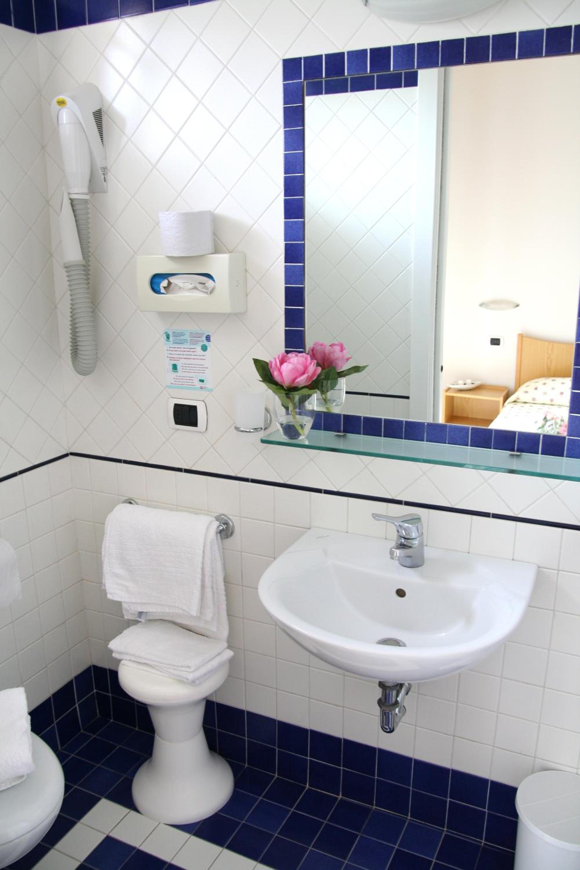 Double or Twin Room photo 3