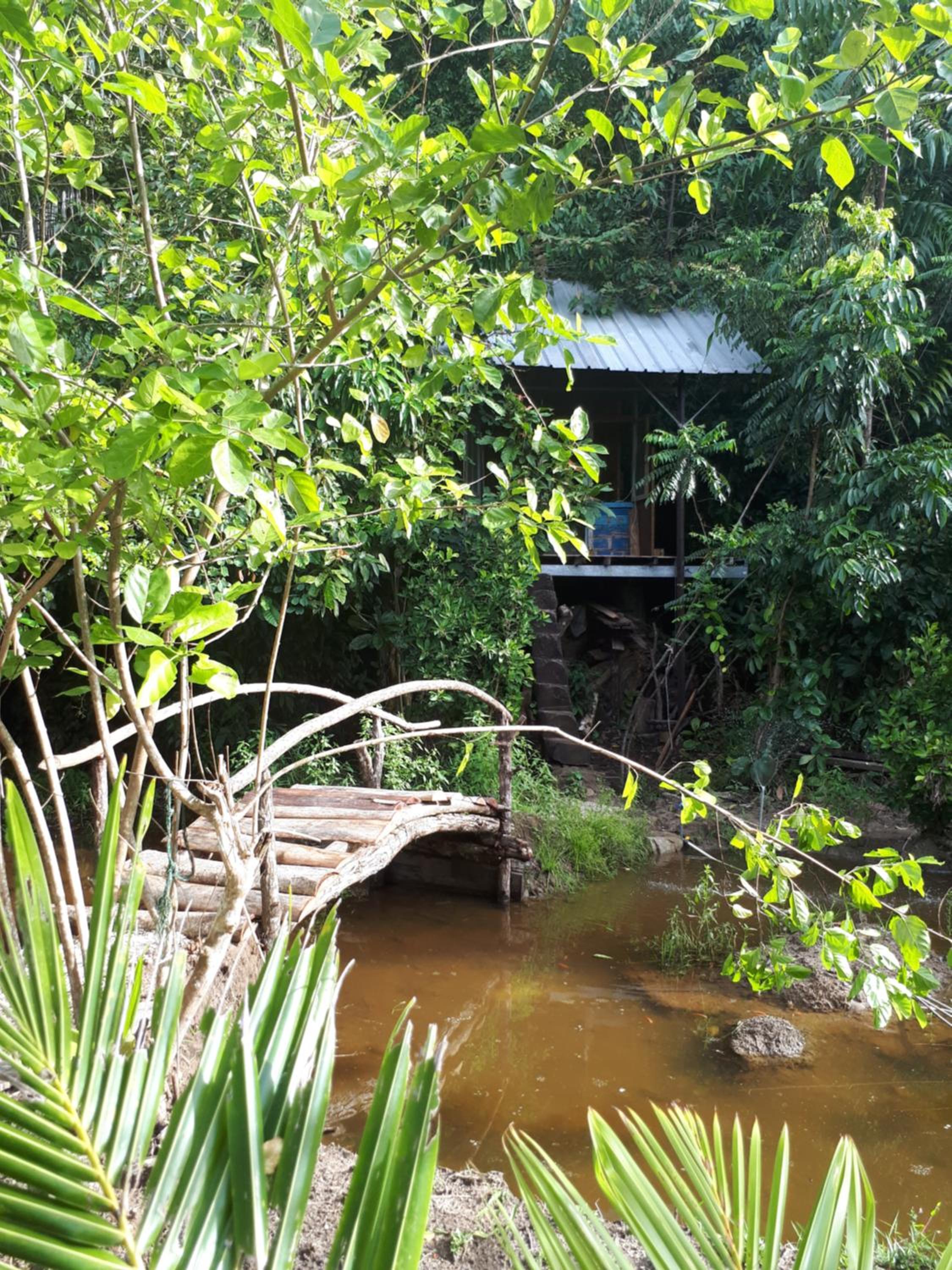 Deluxe Bungalow with Sea View - Photo 2