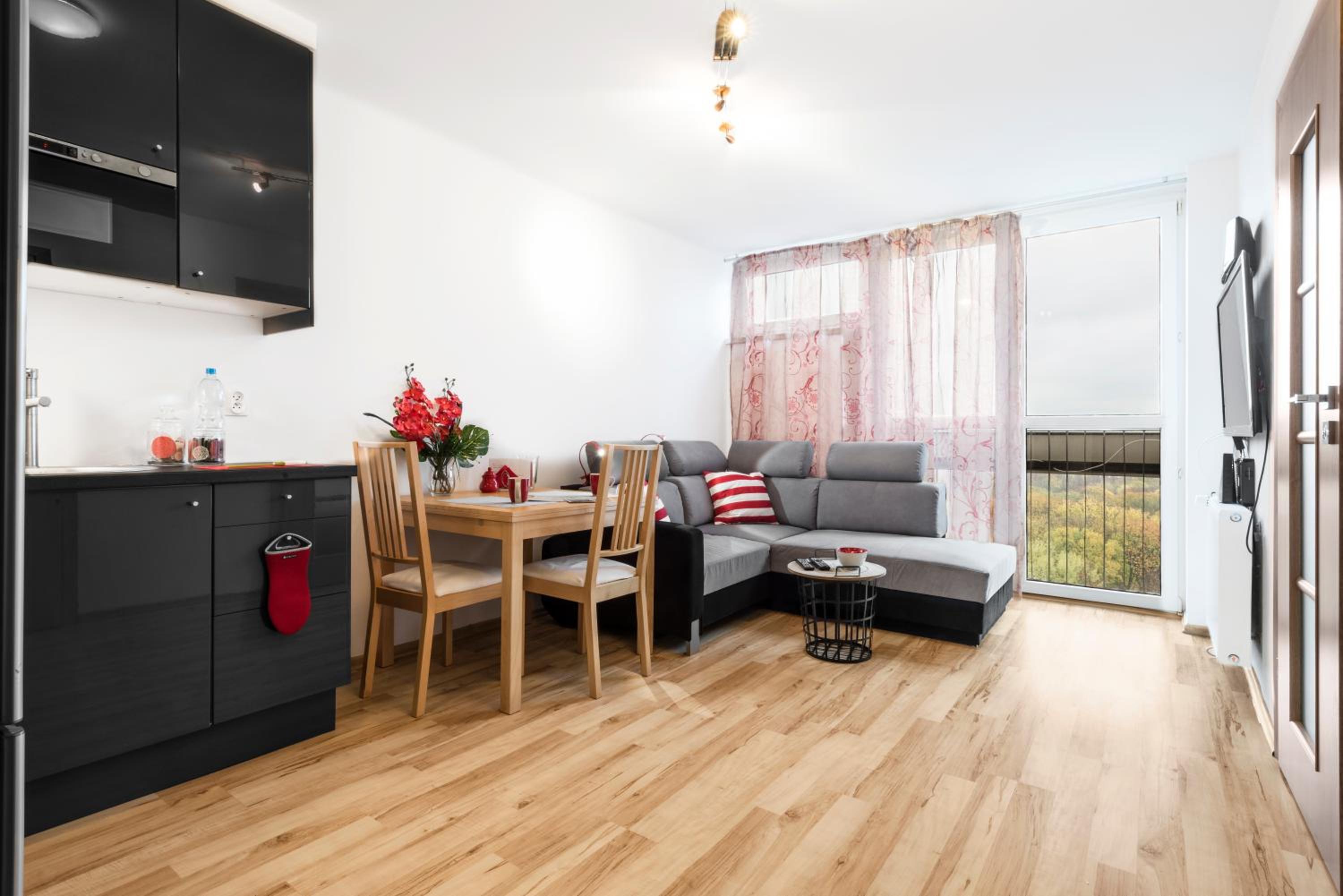 Apartment - Photo 2