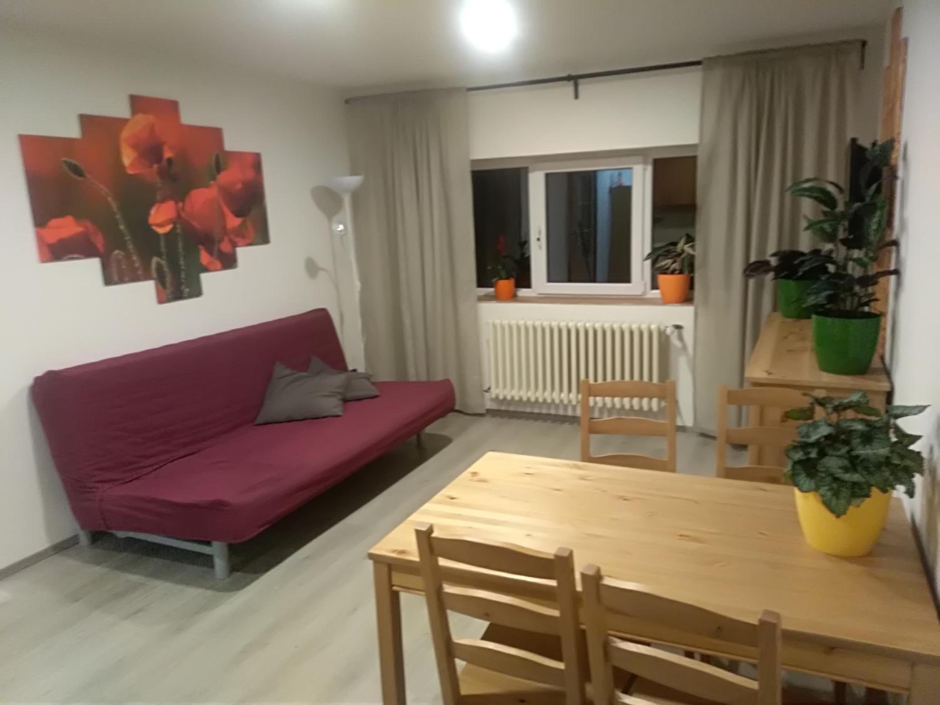 One-Bedroom Apartment photo 2