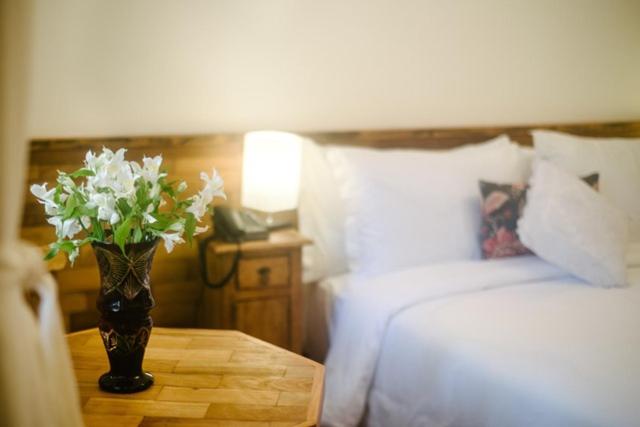 Large Double or Twin Room photo 3