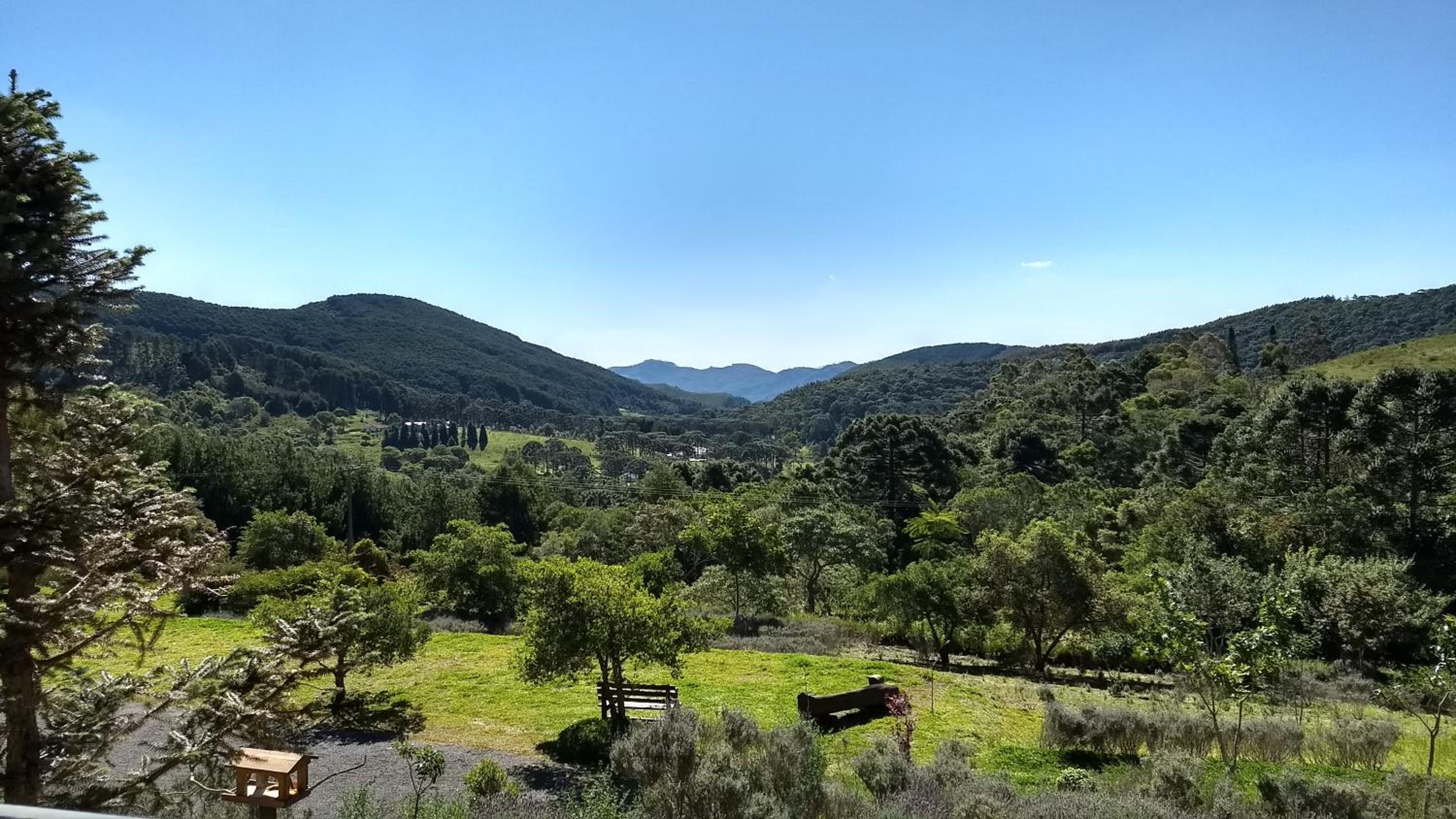 Suite with Mountain View photo 3