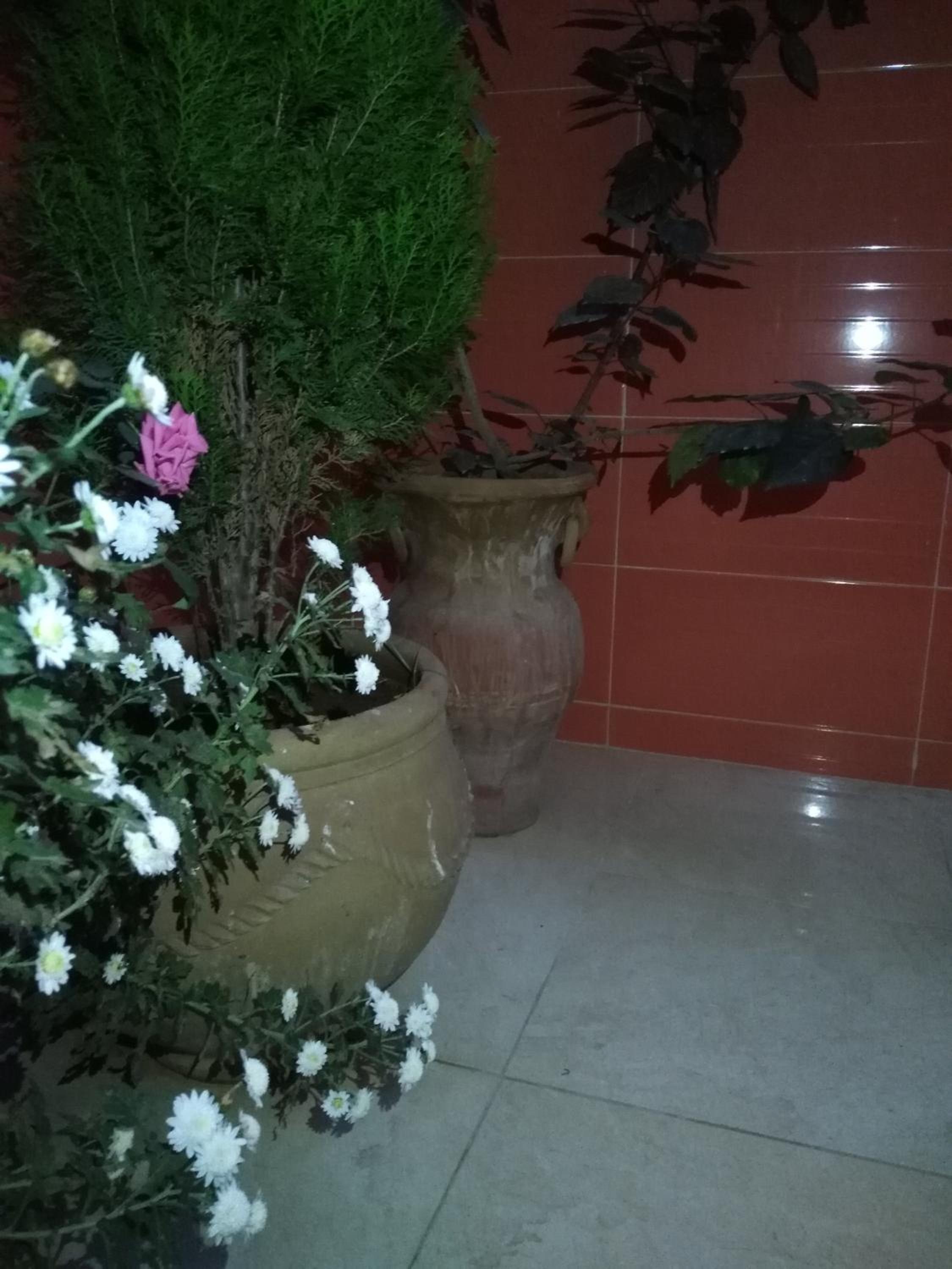Apartment - Ground Floor - Photo 7