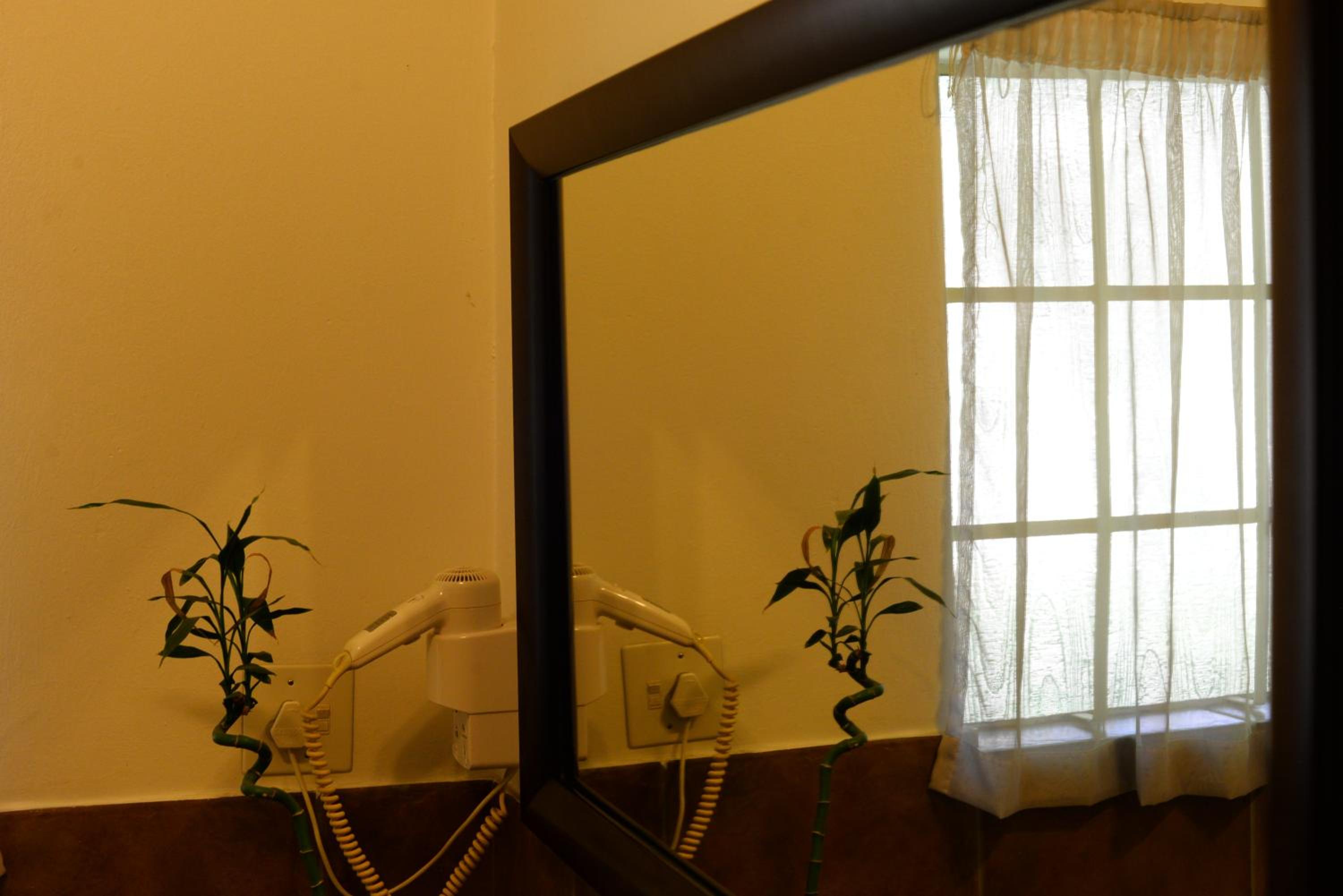 Twin/Double Room - Photo 9